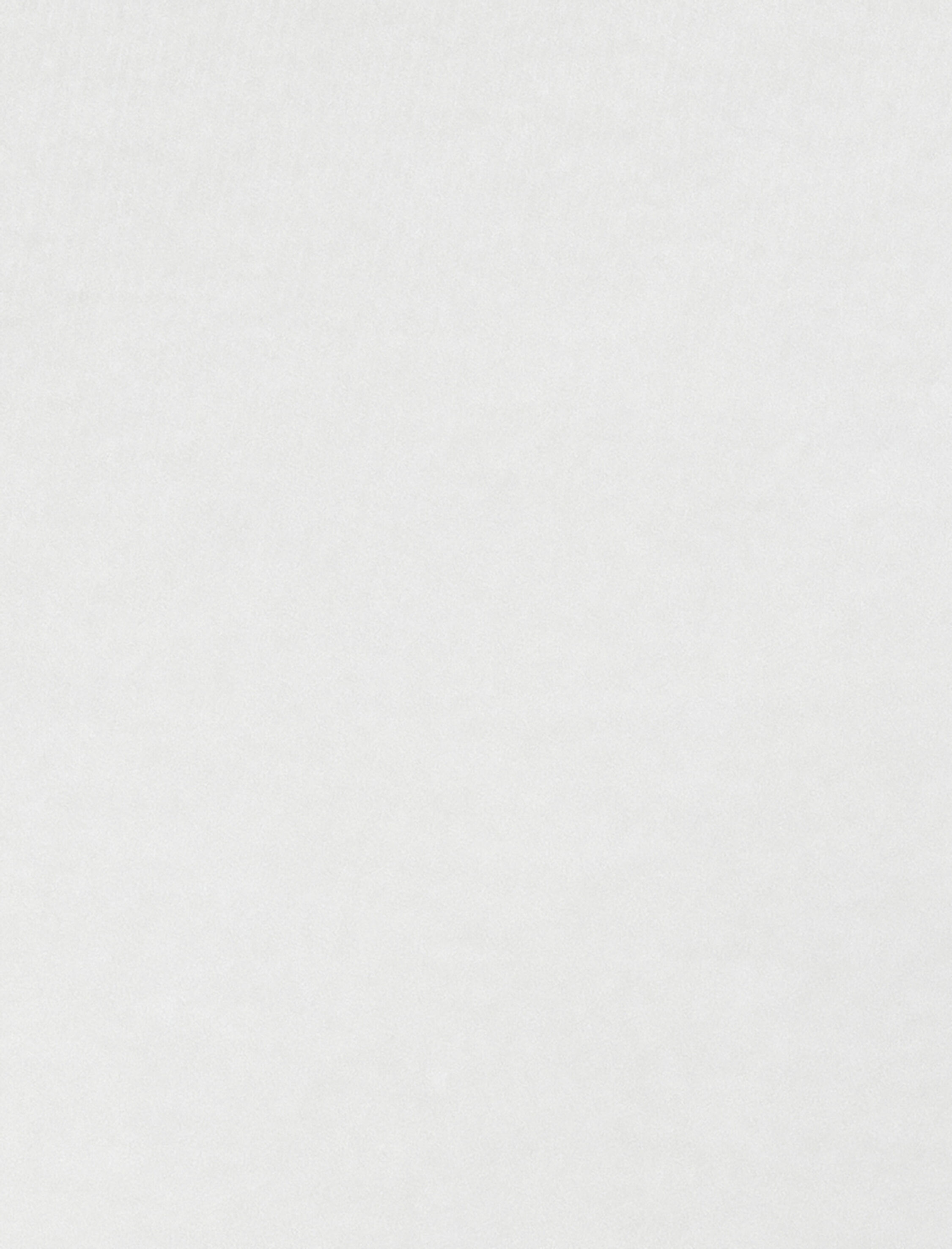   Uzun Kollu Tişört Basic Yarım Balıkçı Yaka