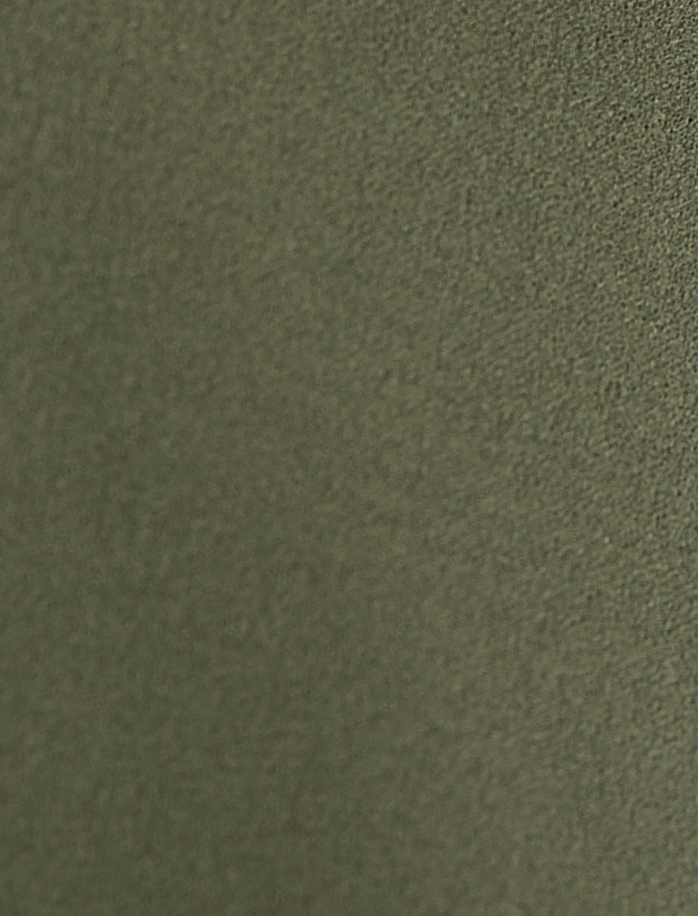   Yarım Fermuarlı Sweatshirt Ribanalı Uzun Kollu Çıtçıt Düğmeli