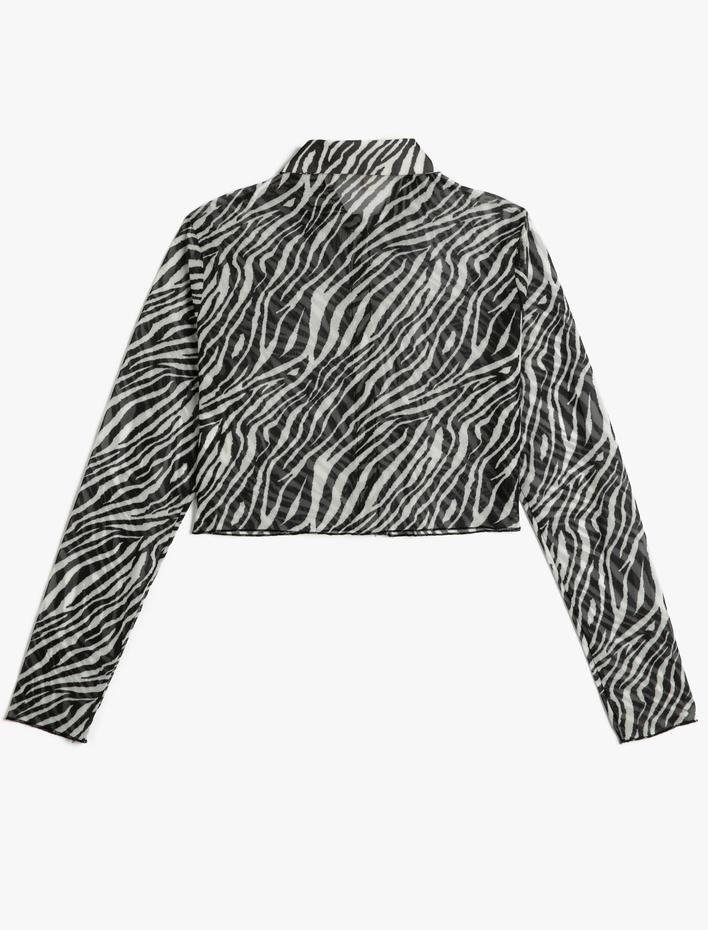 Crop Gömlek Zebra Desenli Düğmeli Klasik Yaka