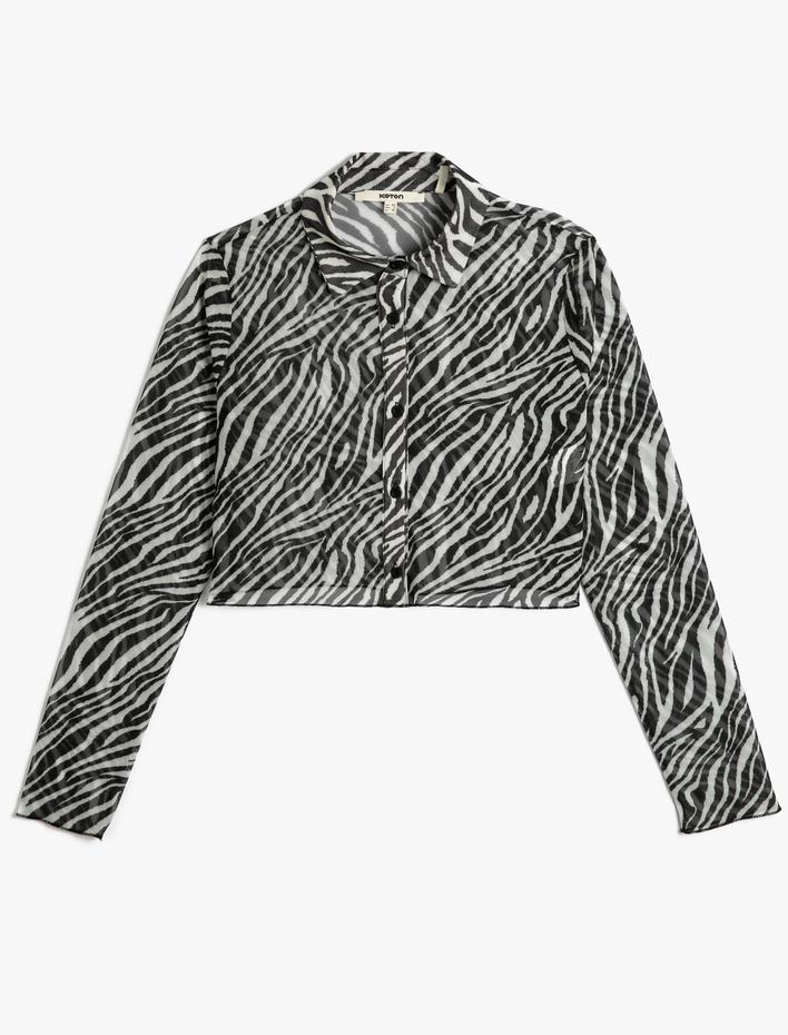  Crop Gömlek Zebra Desenli Düğmeli Klasik Yaka