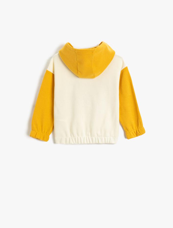 Erkek Bebek Ayıcık Baskılı Kapşonlu Sweat Renk Kontrastlı Manşetleri ve Beli Lastikli