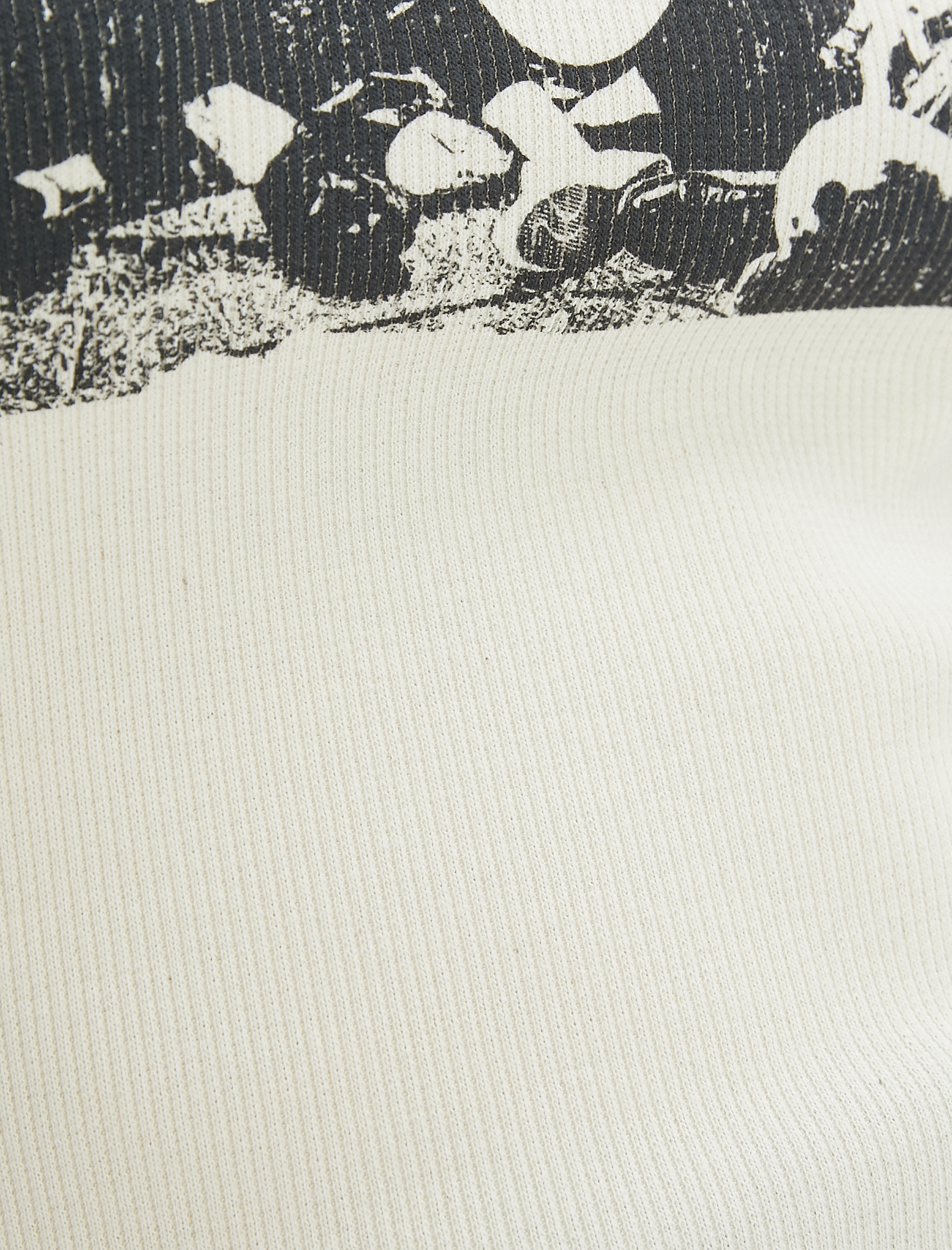   Uzun Reglan Kollu Tişört Renk Kontrastlı Fotoğraf Baskılı Bisiklet Yaka Pamuklu