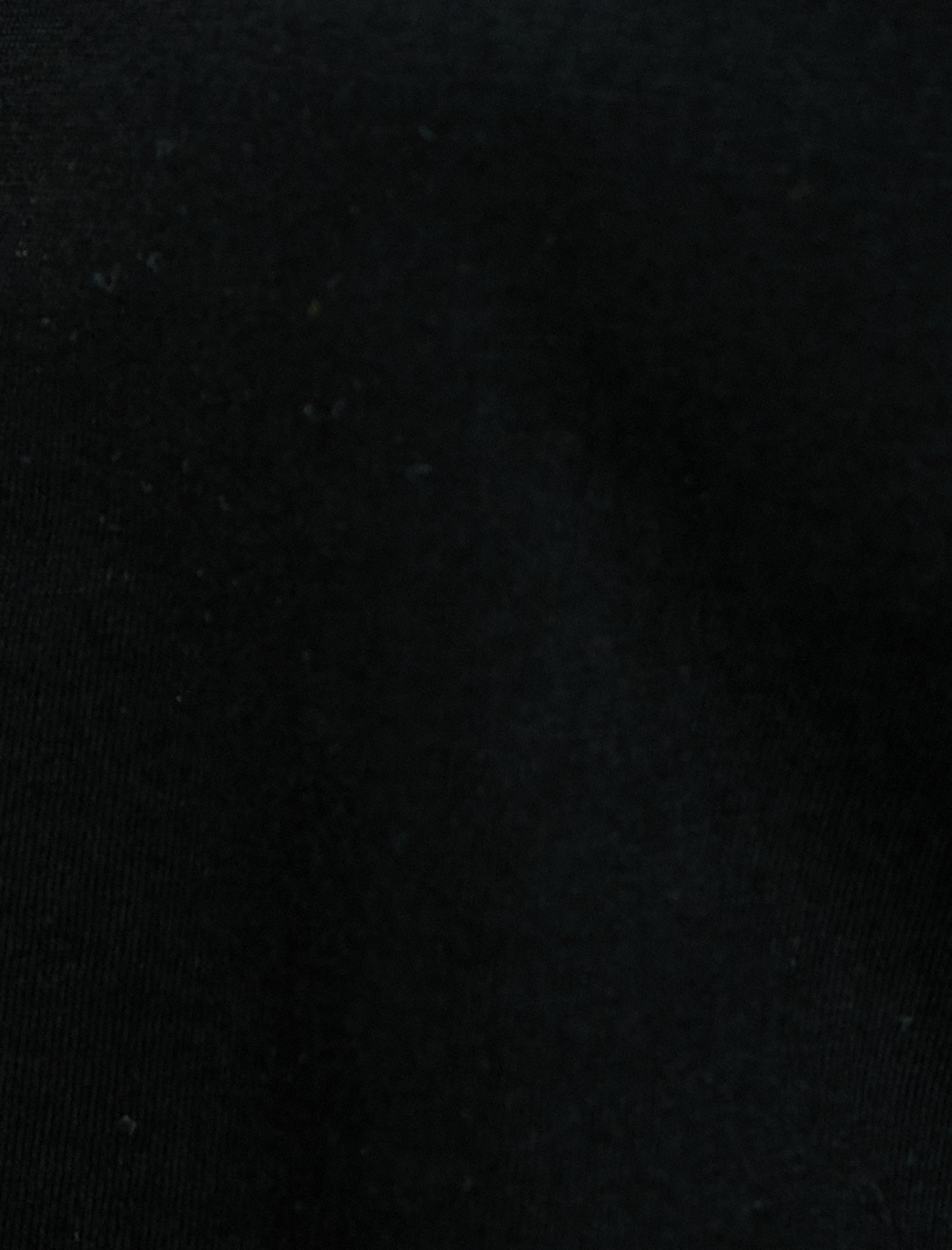   Crop Tişört İşlemeli Kısa Kollu Bisiklet Yaka Pamuklu 100. Yıla özel