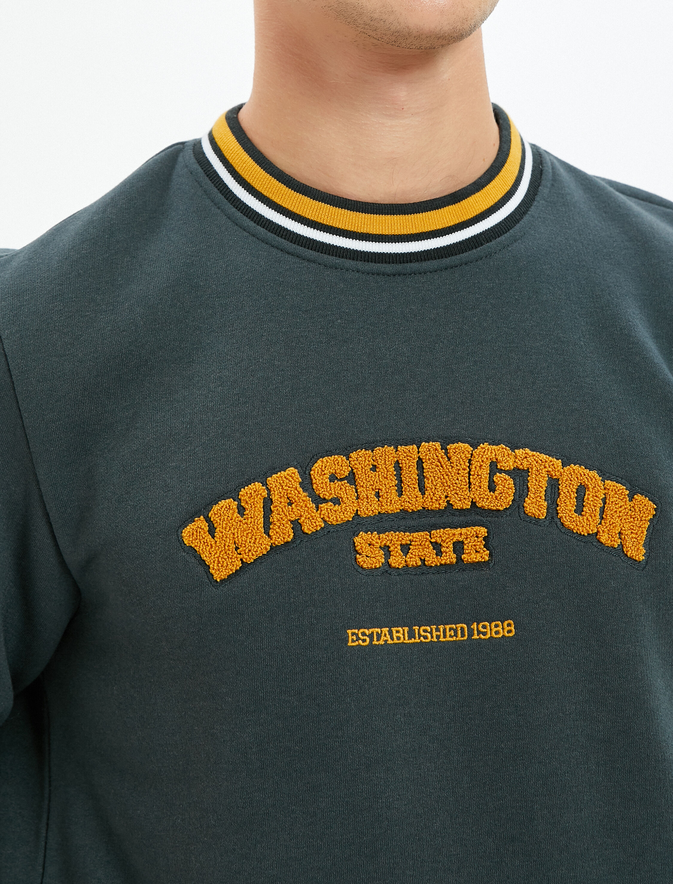 Kolej Sweatshirt Peluş Aplike Detaylı Çizgili uzun Kollu Bisiklet Yaka Şardonlu