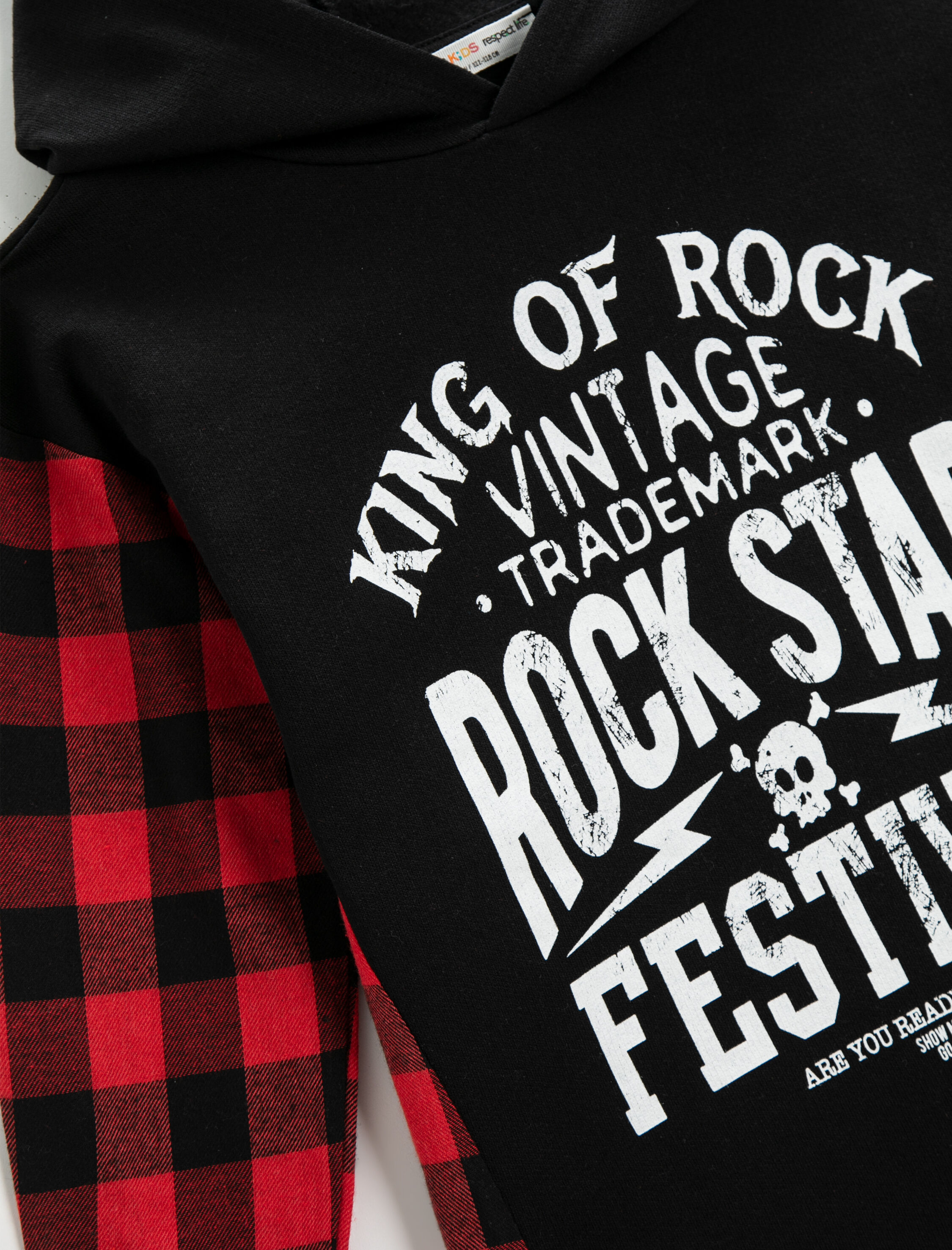  Erkek Çocuk Kapüşonlu Sweatshirt Kolları Manşetli Baskılı Ekose Detaylı