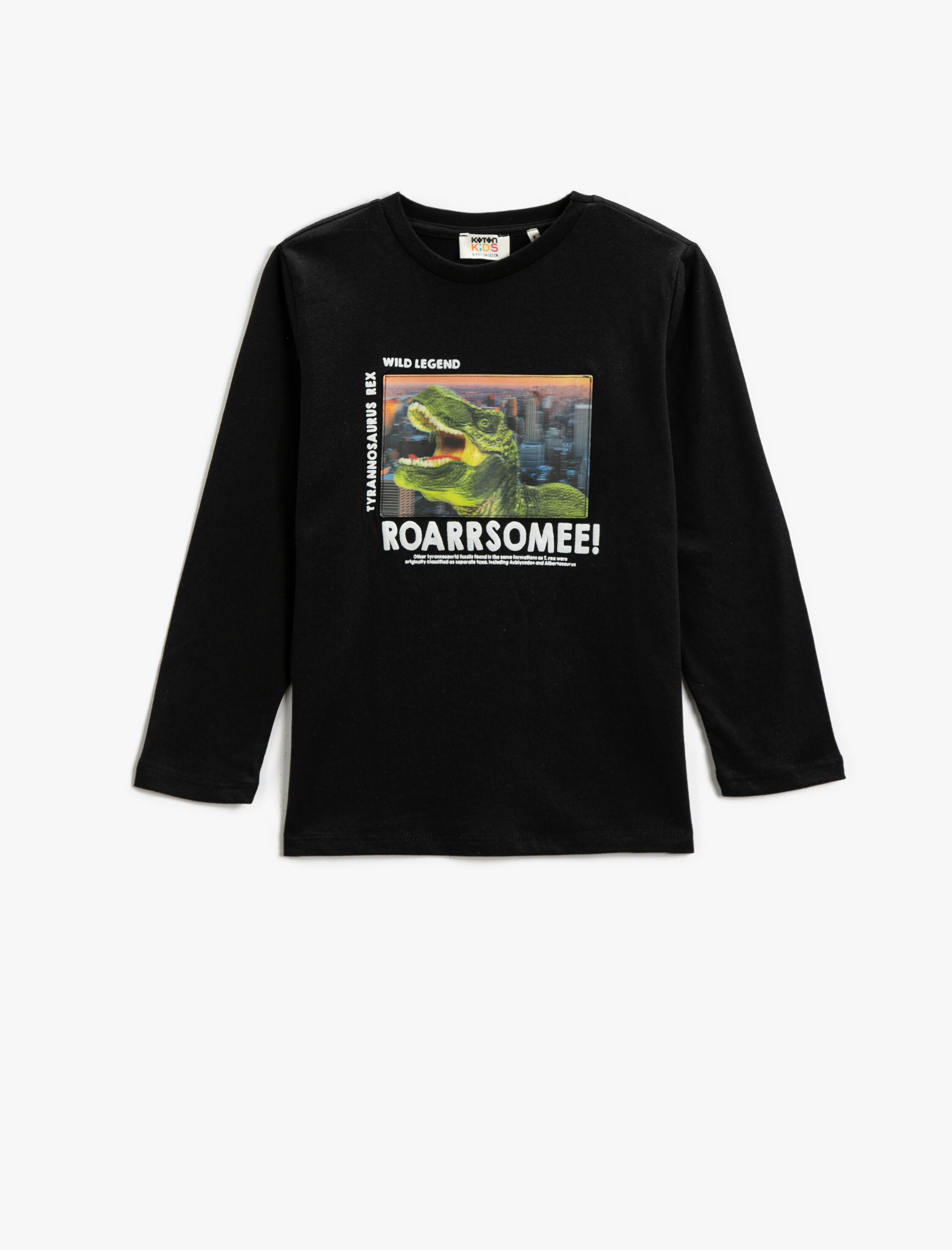  Erkek Çocuk Uzun Kollu Tişört Dinozor Baskılı Bisiklet Yaka