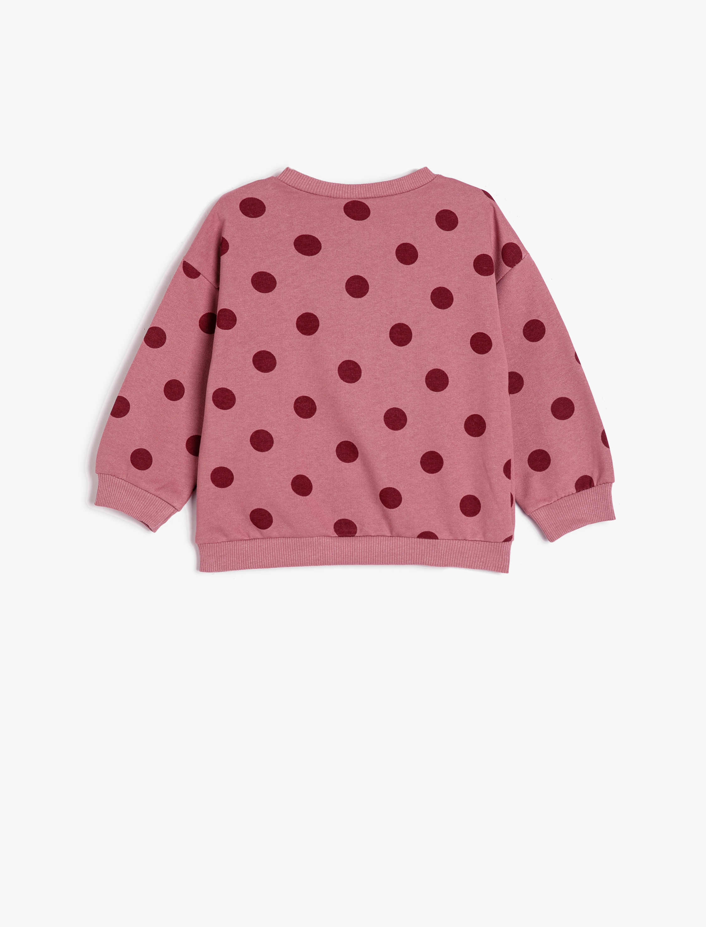  Kız Bebek Basic Sweatshirt Puantiyeli Bisiklet Yaka Uzun Kollu Pamuklu Şardonlu