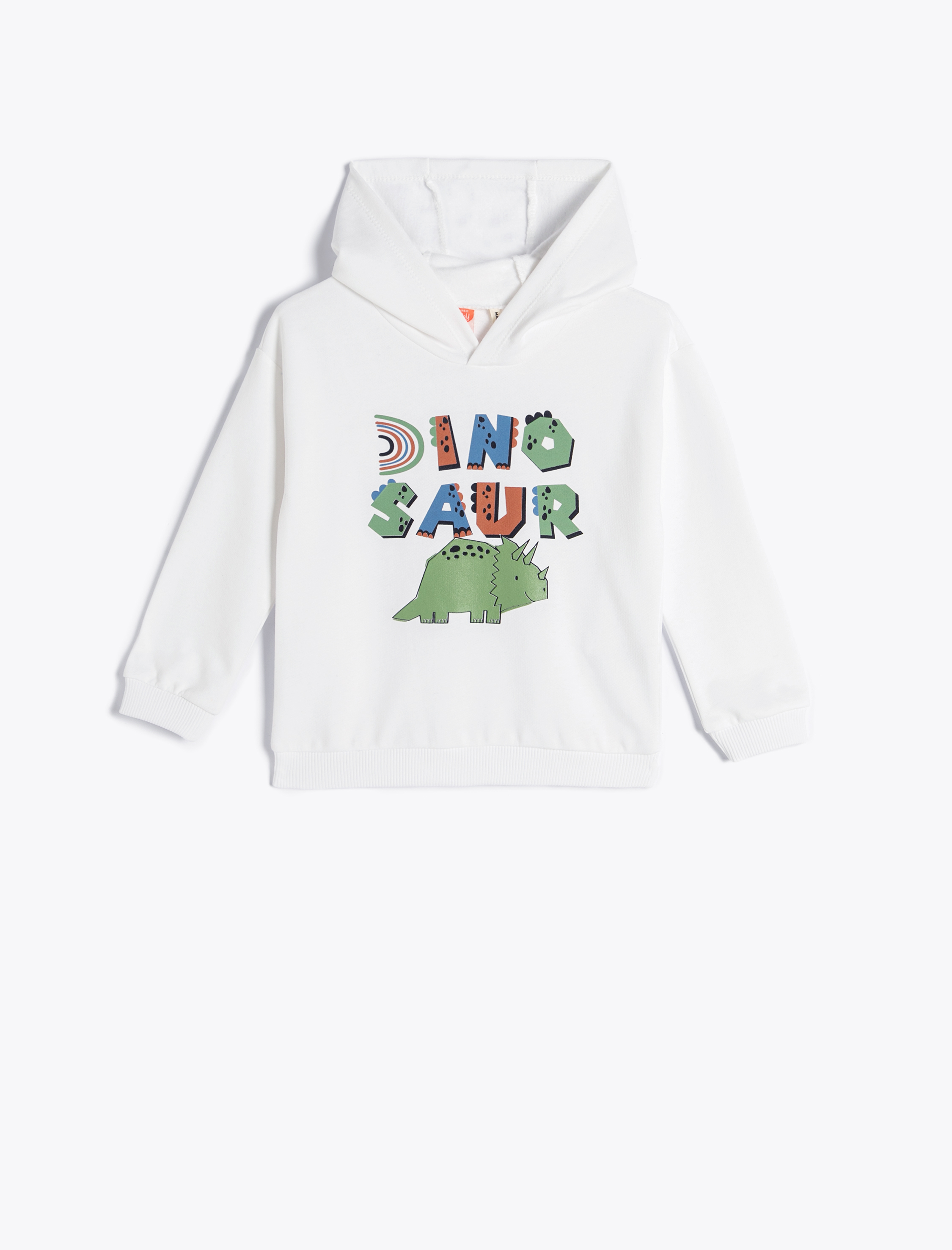  Erkek Bebek Kapşonlu Sweatshirt Dinozor Baskılı Şardonlu Bisiklet Yaka Pamuklu