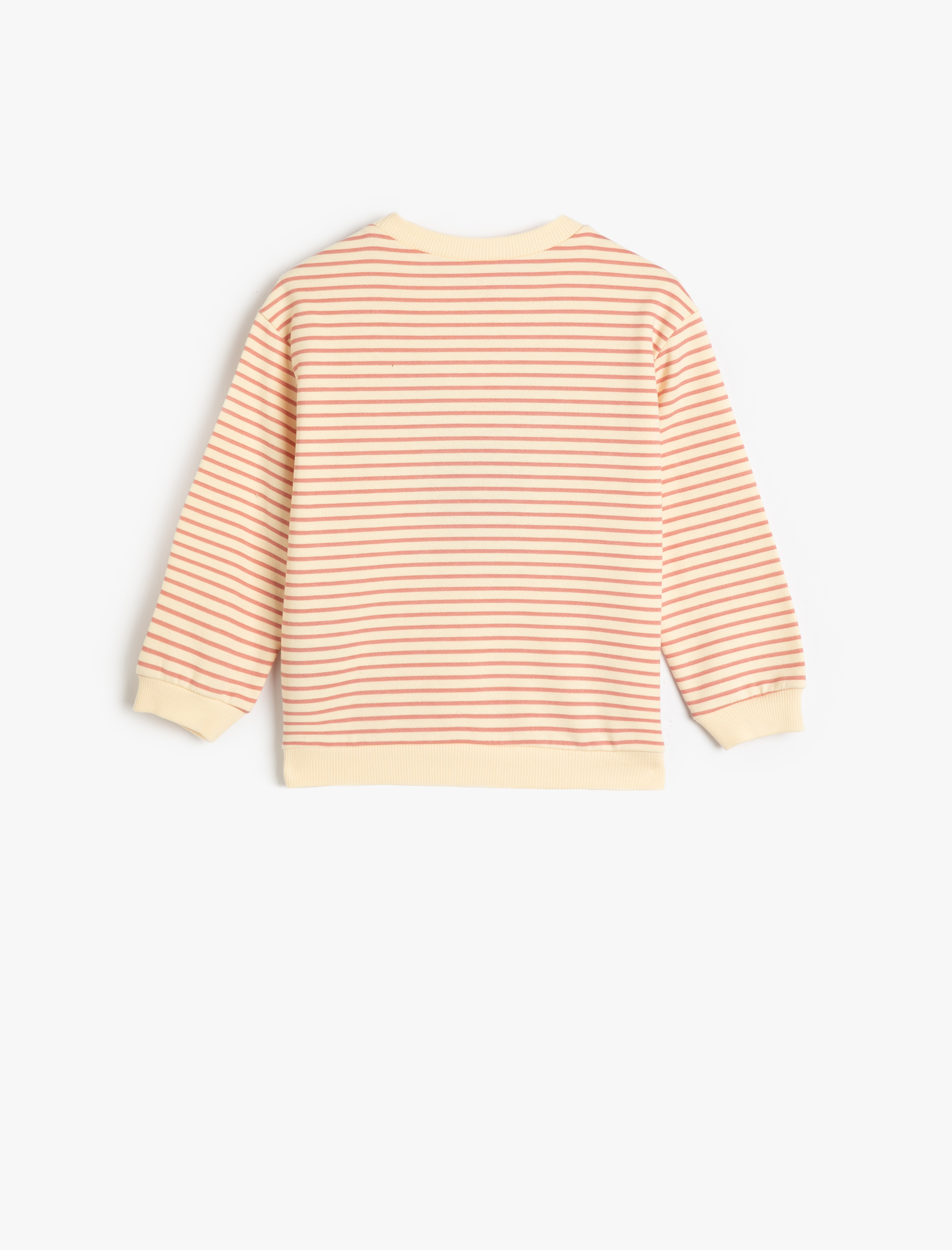  Kız Bebek Sweatshirt Aplike Detaylı Uzun Kollu Bisiklet Yaka Şardonlu Pamuklu