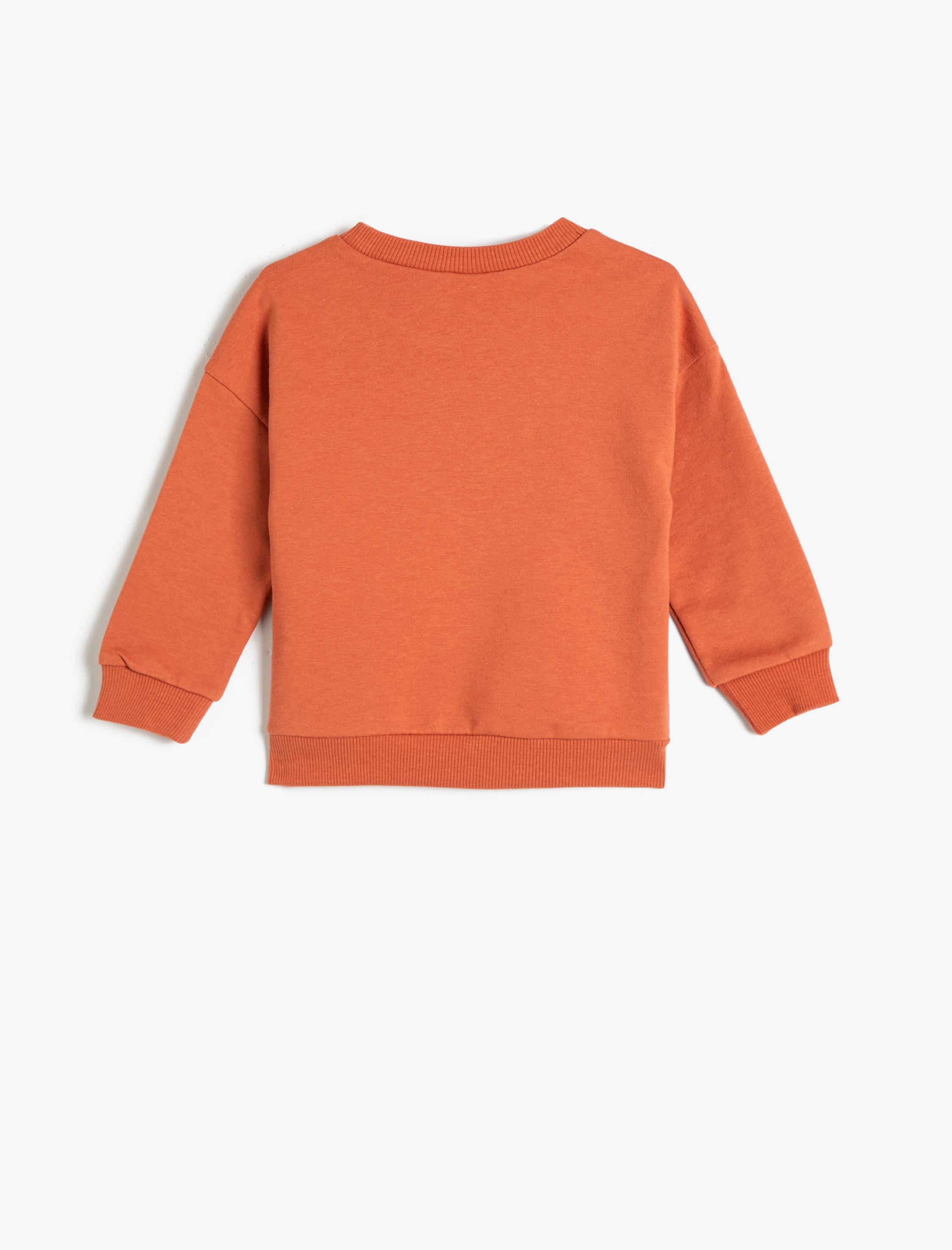 Erkek Bebek Sweatshirt Aslan Baskılı Kanguru Cepli Kulak Aplikeli Uzun Kollu Bisiklet Yaka Şardonlu Pamuklu