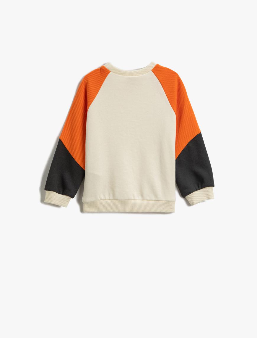  Erkek Bebek Renk Bloklu Sweatshirt Bisiklet Yaka