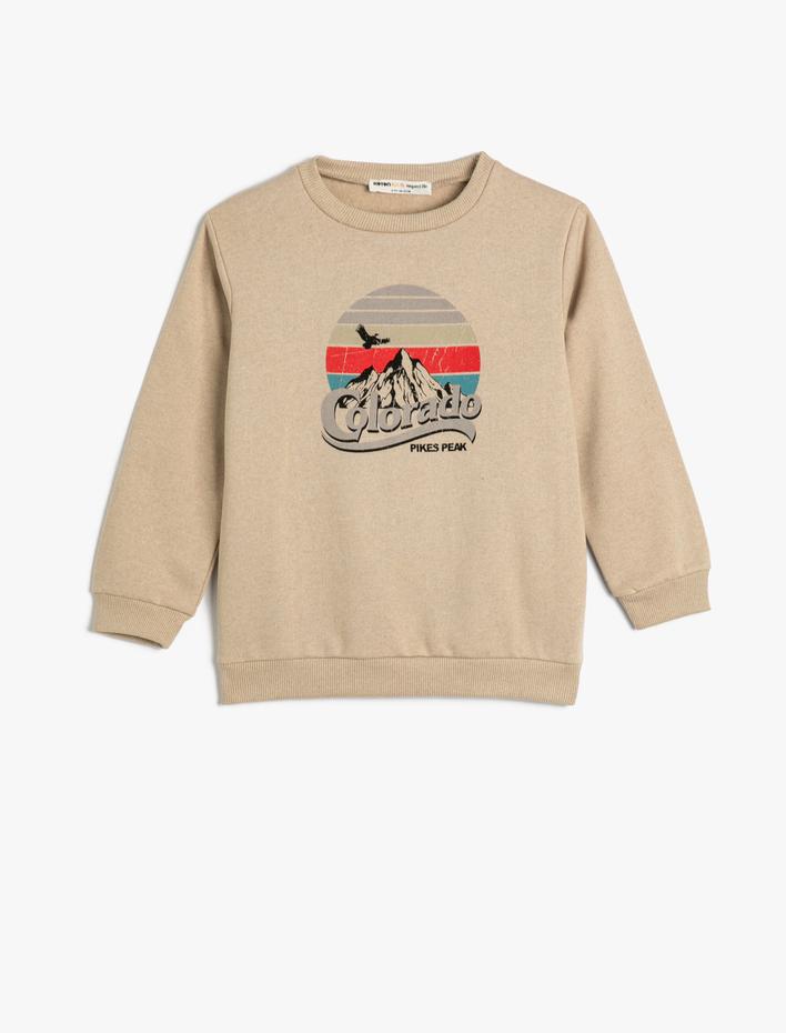 Erkek Çocuk Sweatshirt Uzun Kollu Bisiklet Yaka Baskı Detaylı Şardonlu