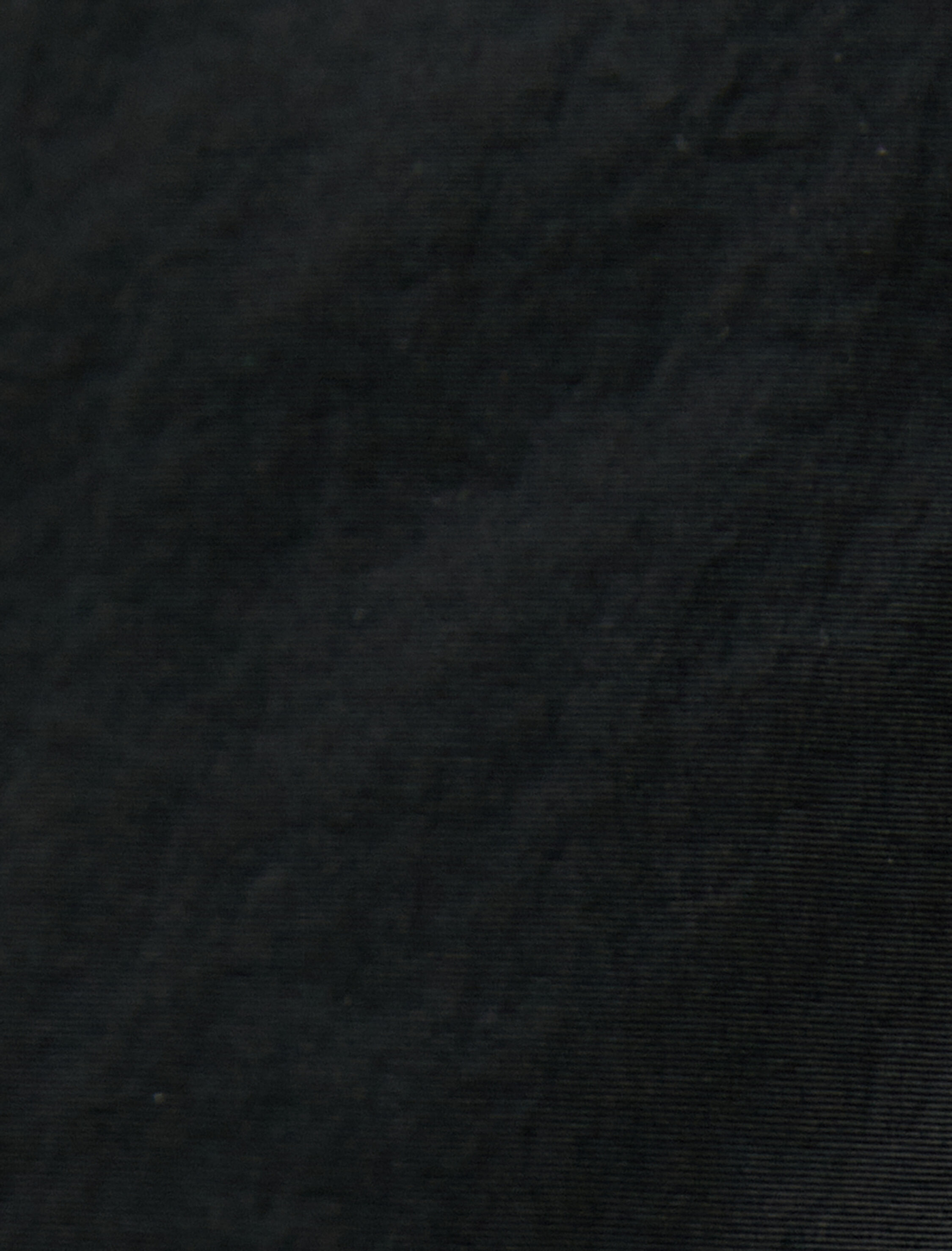   Şişme Mont Dik Yaka Fermuarlı Cep Detaylı Slogan Baskılı