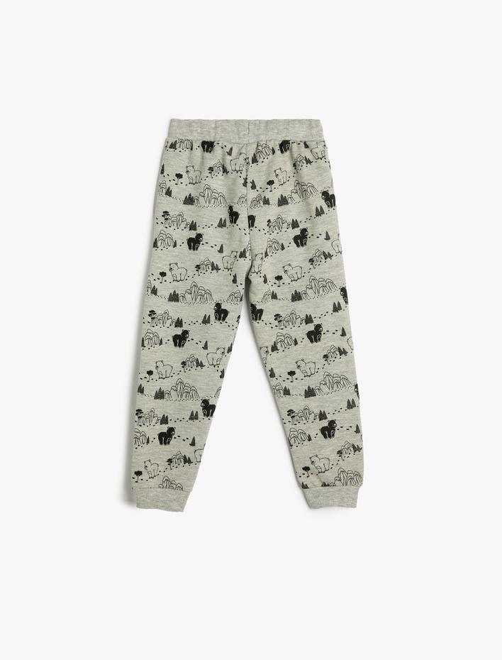 Erkek Bebek Jogger Eşofman Altı Ayıcık Baskılı Beli Bağlamalı Şardonlu