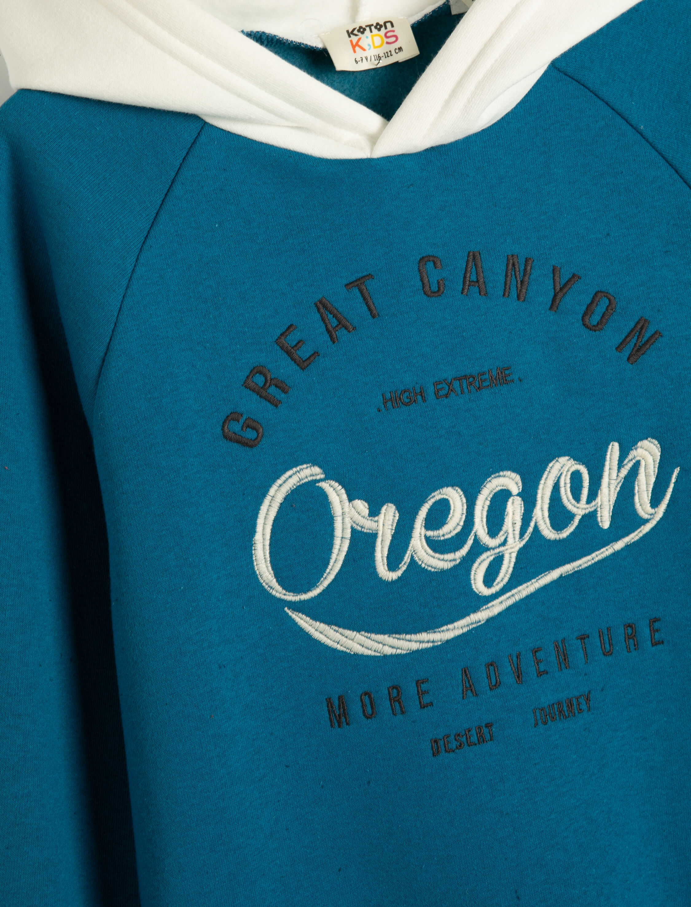  Erkek Çocuk Kapşonlu Sweatshirt Uzun Kollu İşleme Detaylı Şardonlu