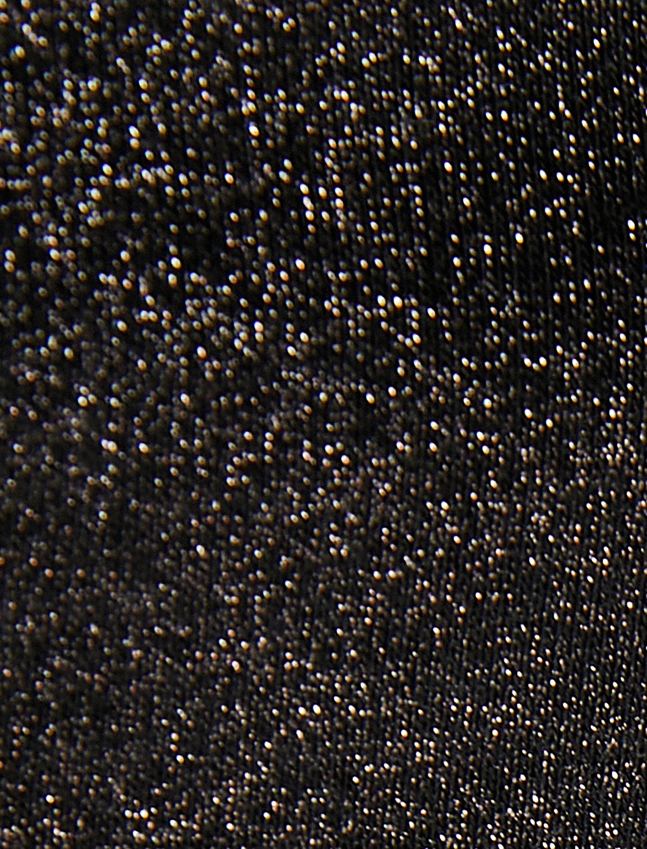   Şardonlu Parlak Kapşonlu Fermuarlı Crop Sweatshirt Korse Detaylı