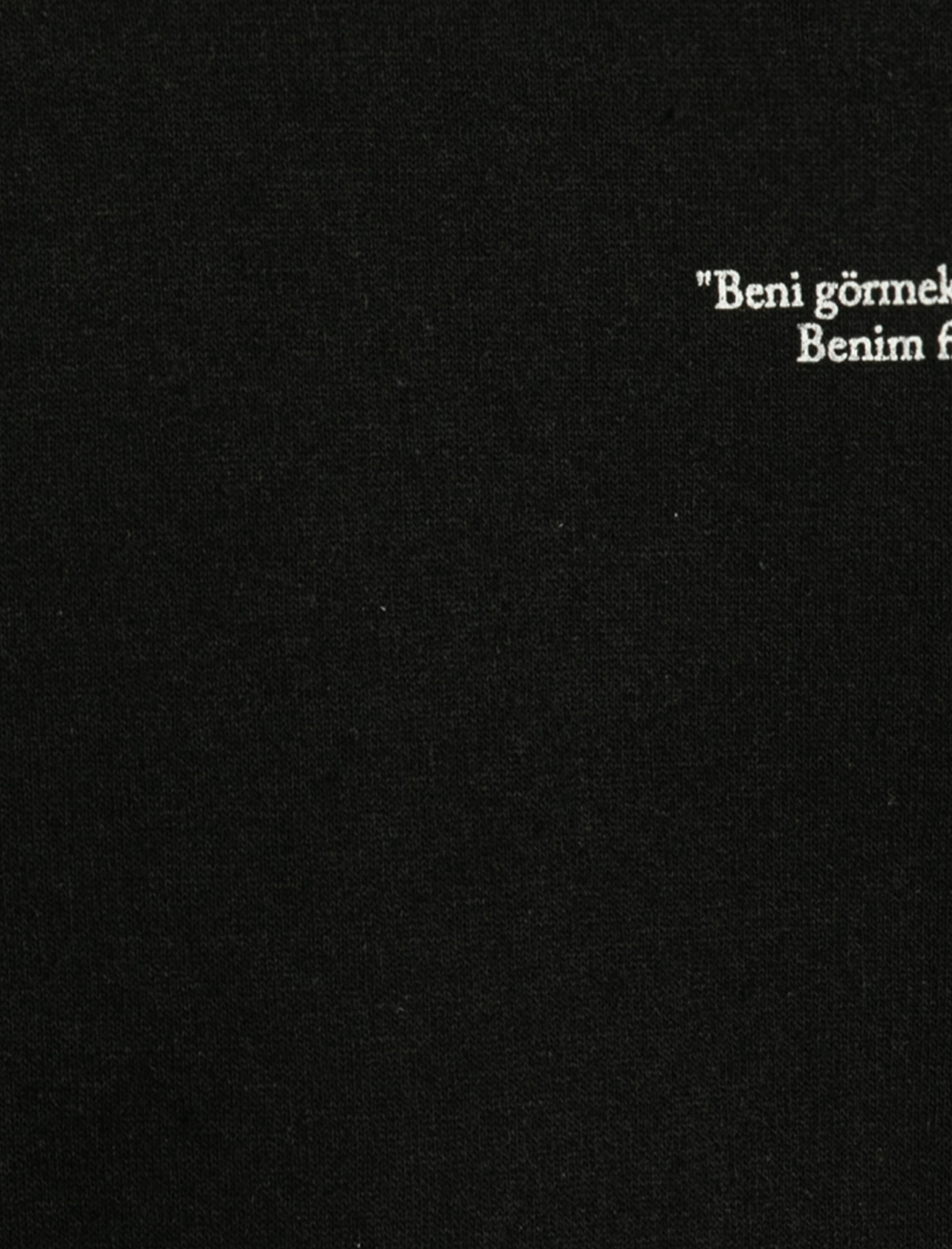  Erkek Çocuk Sweatshirt Uzun Kollu Bisiklet Yaka Arkası Atatürk Baskılı