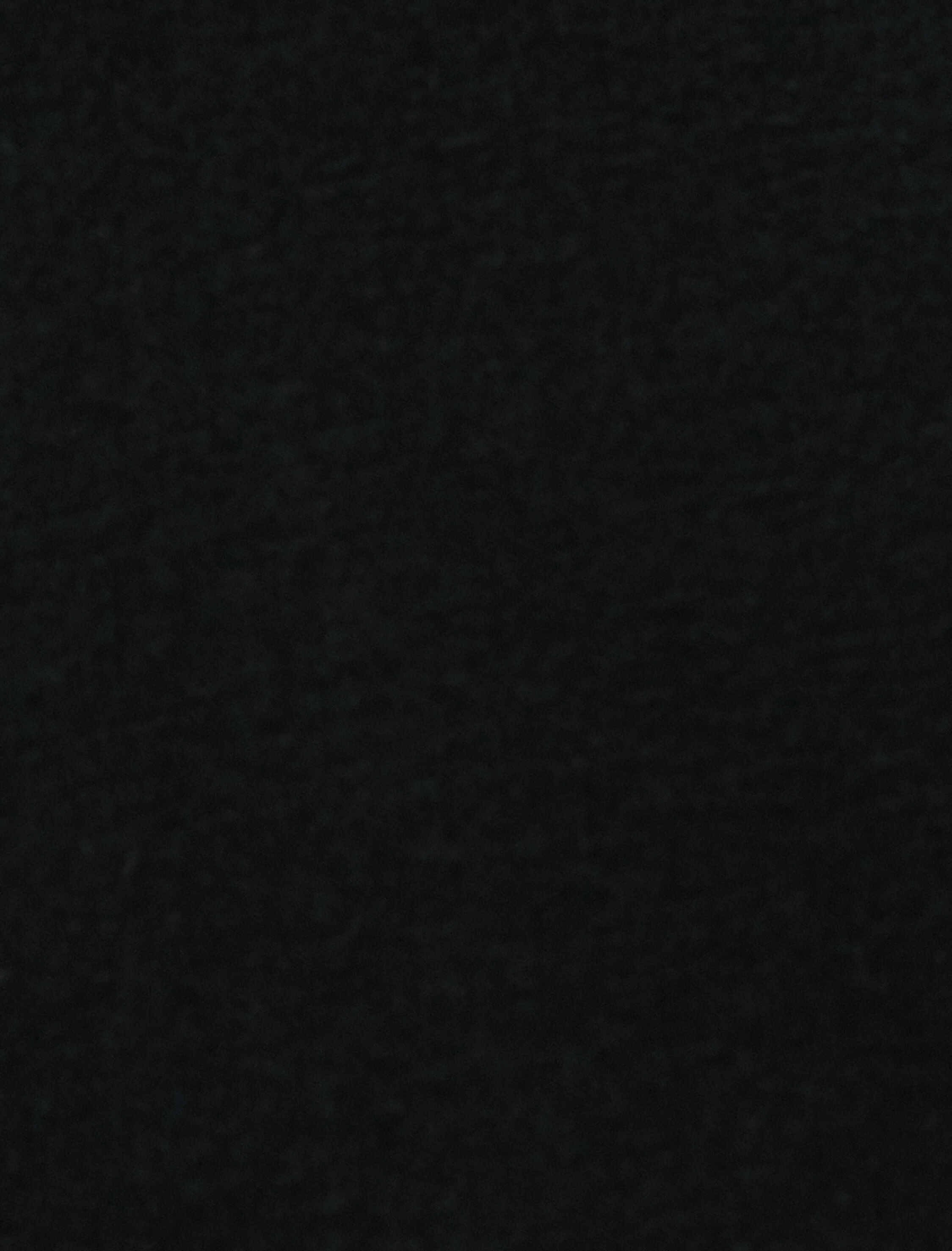   Dik Yaka Sweat Slogan İşlemeli Uzun Kollu Şardonlu