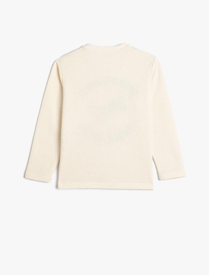 Erkek Çocuk Tişört Uzun Kollu Bisiklet Yaka Kaplan Baskılı Dokulu