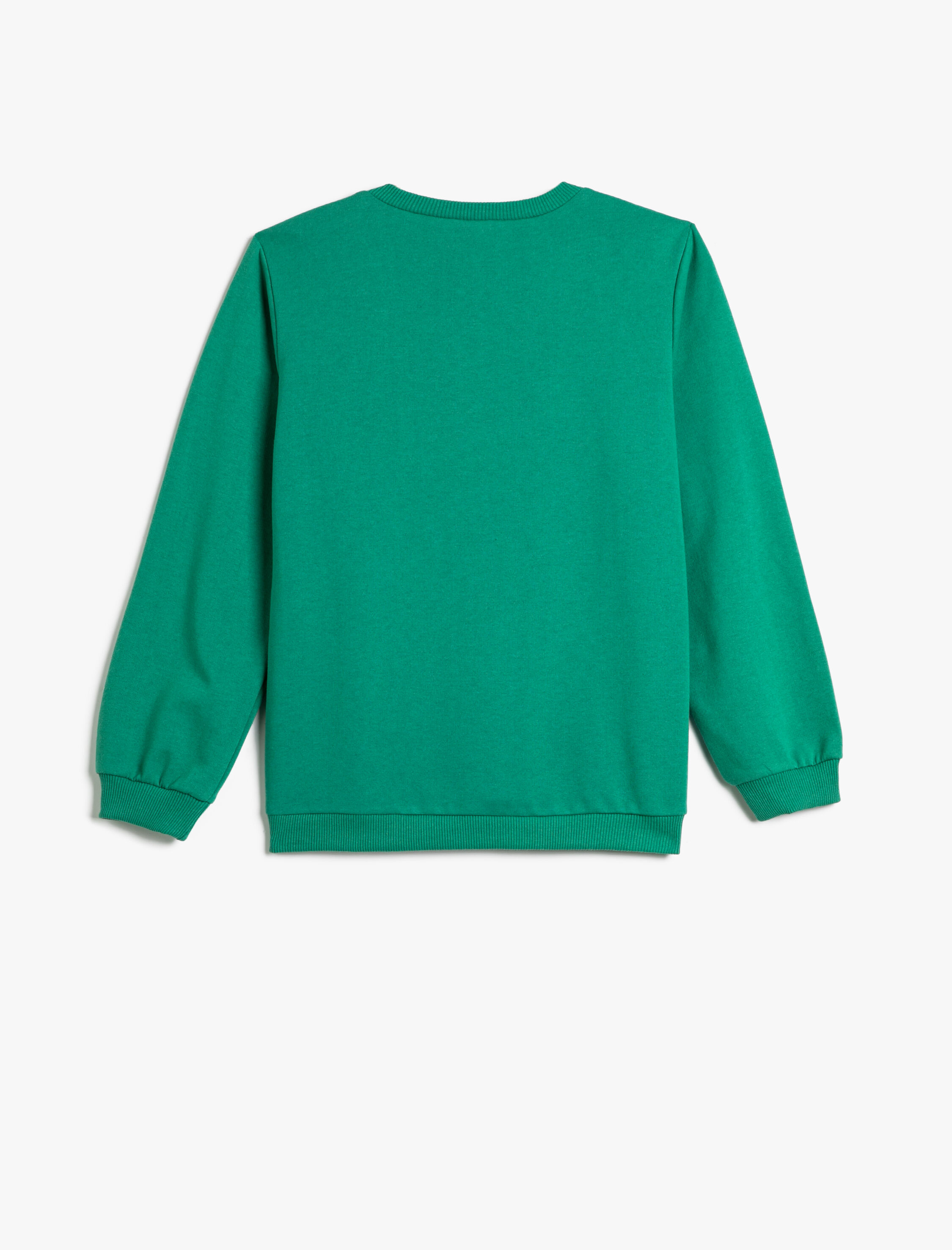  Erkek Çocuk Dinozorlu Sweatshirt Bisiklet Yaka Uzun Kollu Şardonlu