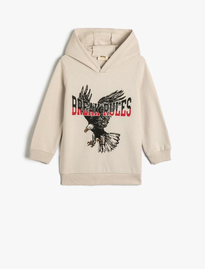 Erkek Çocuk Kapşonlu Sweatshirt Kartal Baskılı Uzun Kollu Şardonlu