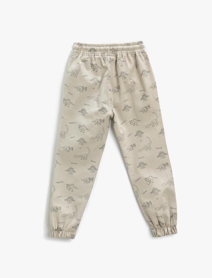 Erkek Çocuk Jogger Pantolon Beli Bağlamalı Cepli Dinozor Desenli