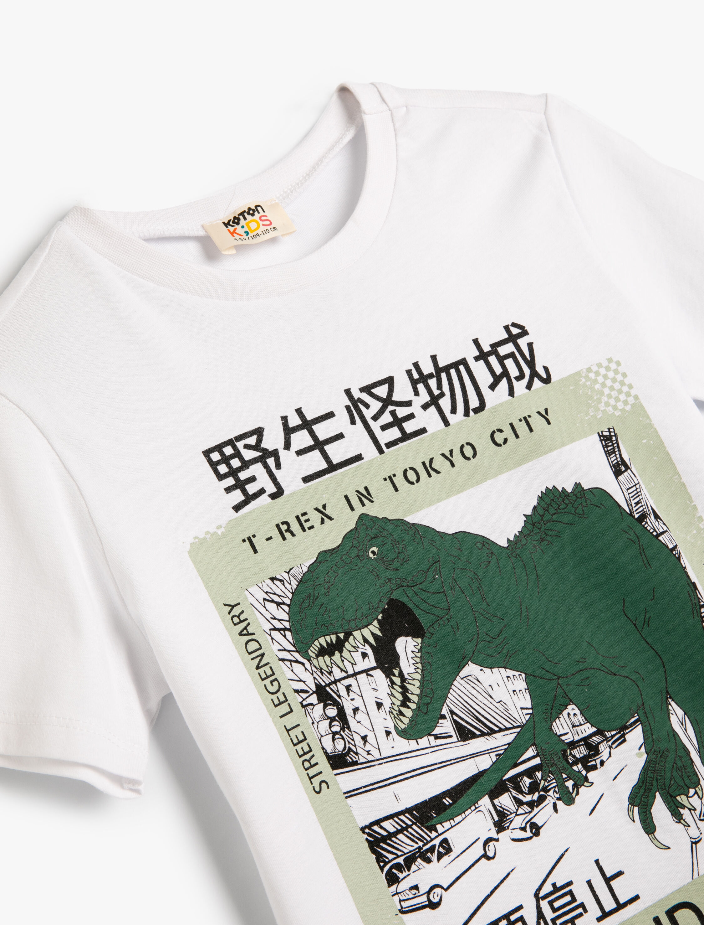  Erkek Çocuk Tişört Kısa Kollu Dinozor Baskılı Bisiklet Yaka Pamuklu