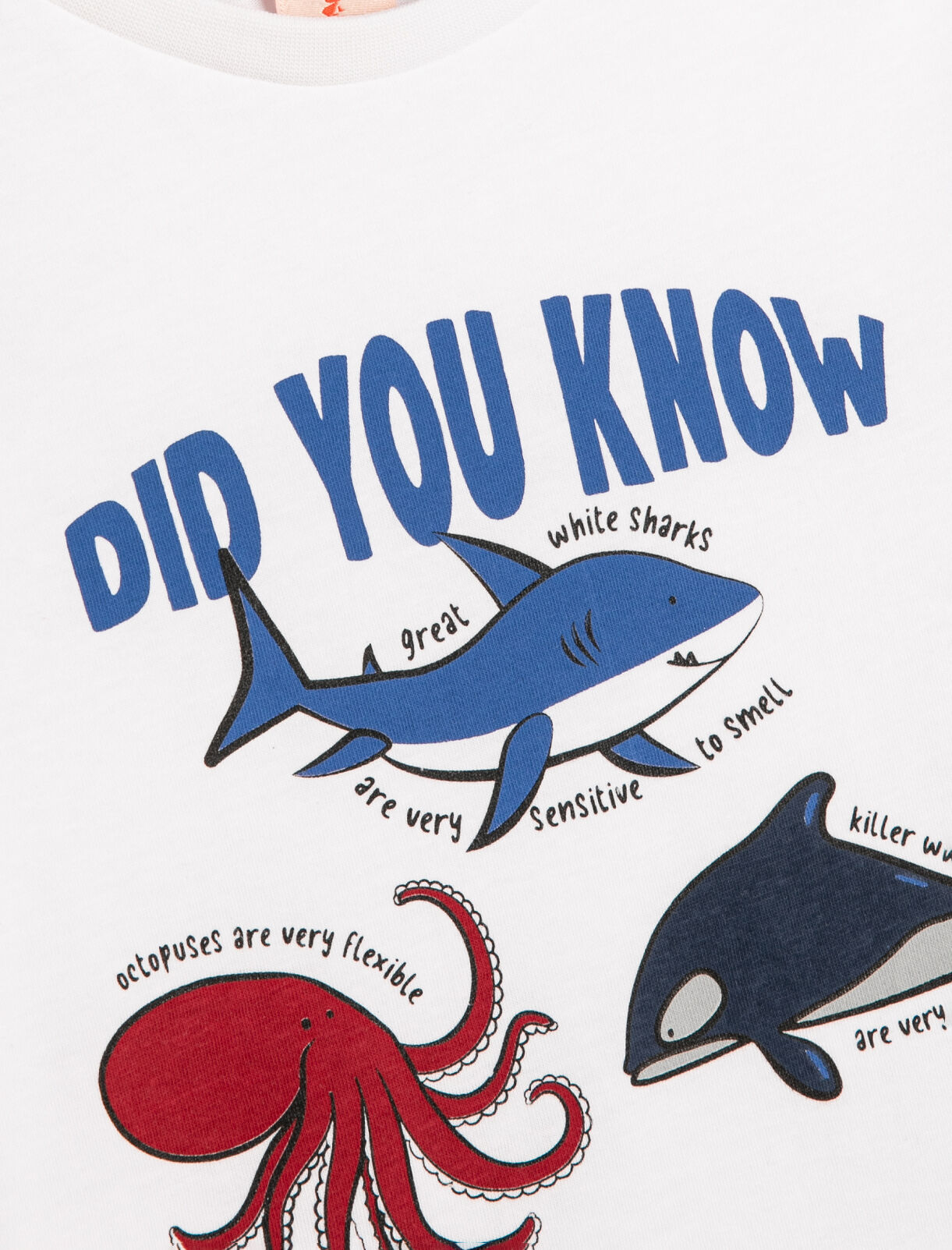  Erkek Bebek Tişört Kısa Kollu Hayvanlar Baskılı Bisiklet Yaka Pamuklu