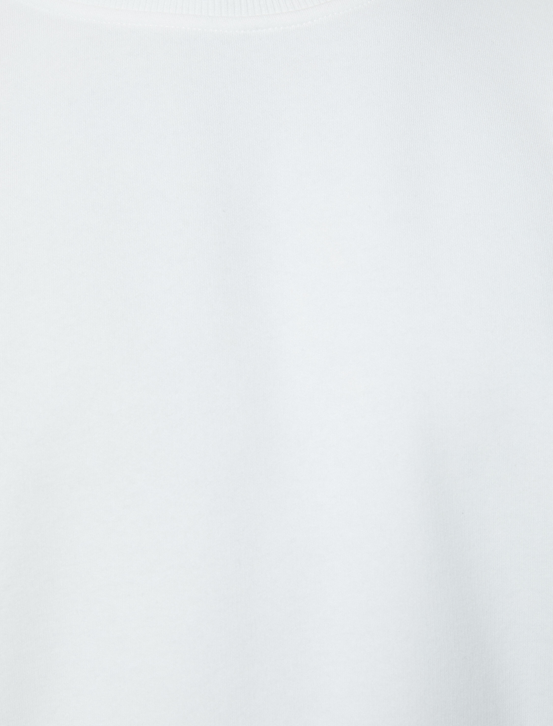 Basic Sweatshirt Rahat Kesim Bisiklet Yaka Uzun Kollu Şardonlu