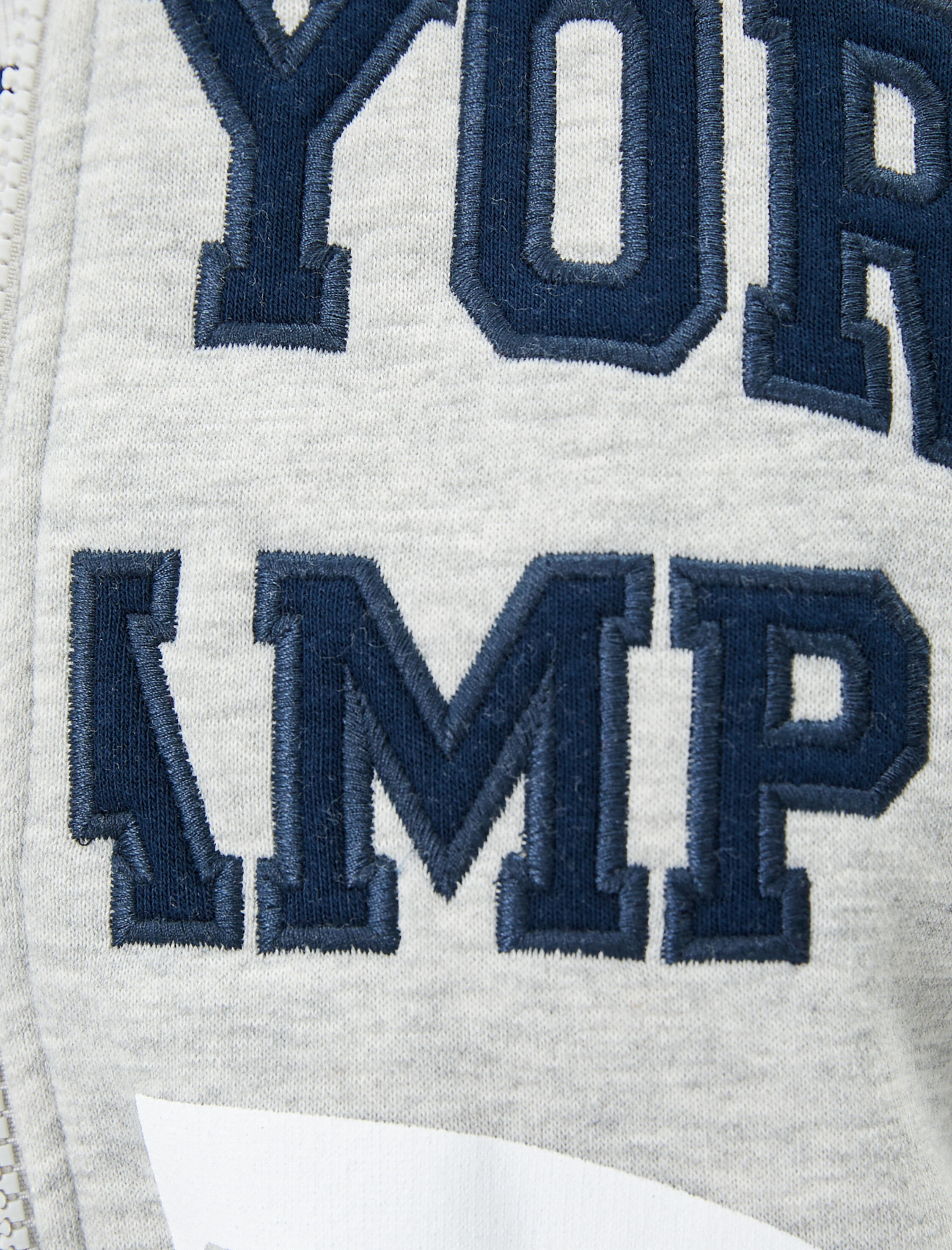   Şardonlu Kapüşonlu Fermuarlı Crop Sweatshirt Kolej İşleme Detaylı Renk Bloklu