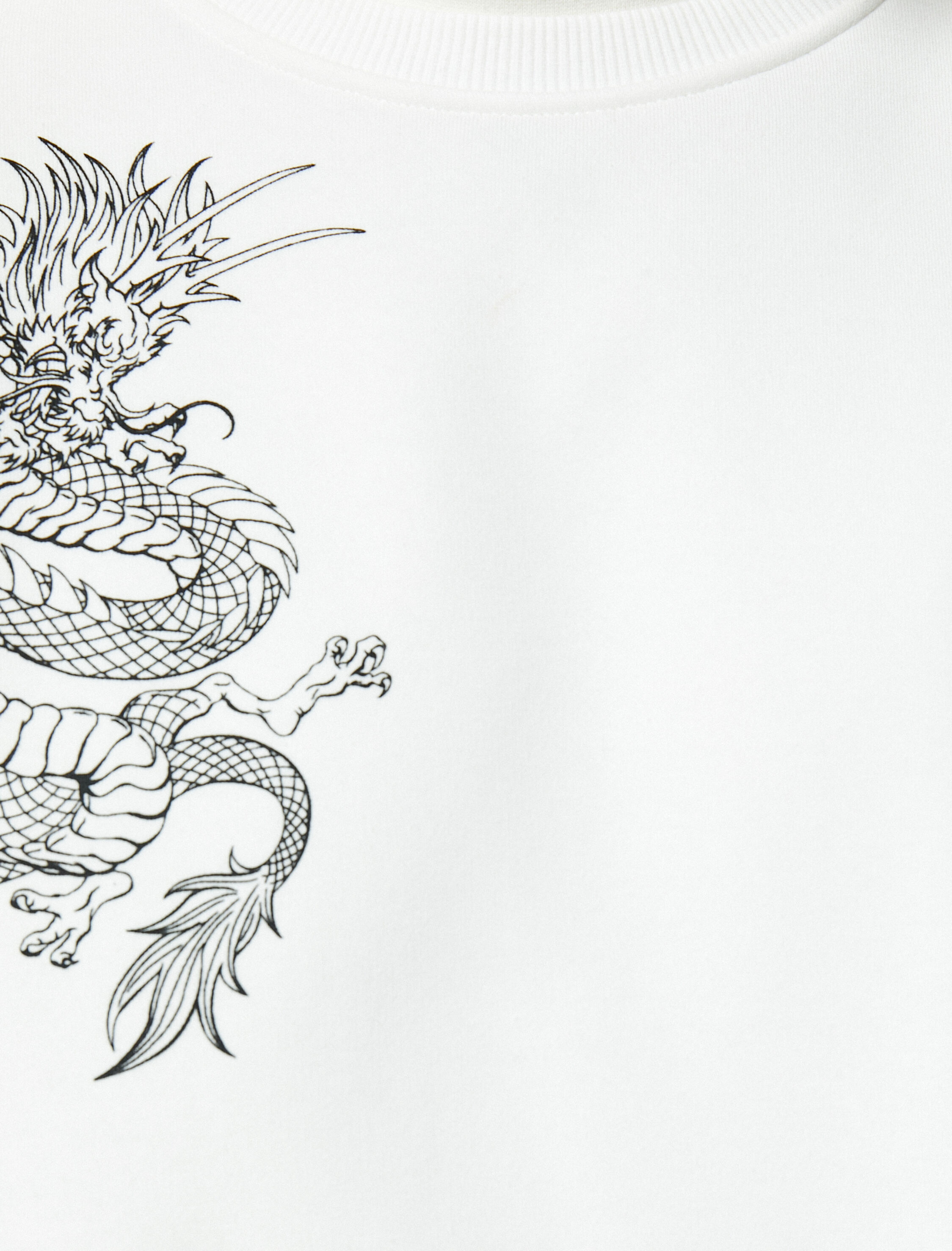 Uzakdoğu Baskılı Sweatshirt Bisiklet Yaka Rahat Kesim Şardonlu