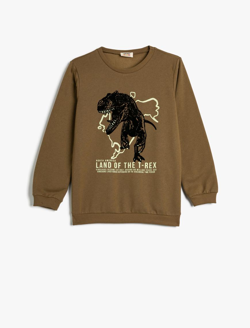  Erkek Çocuk Dinozorlu Sweatshirt Uzun Kollu Bisiklet Yaka Şardonlu