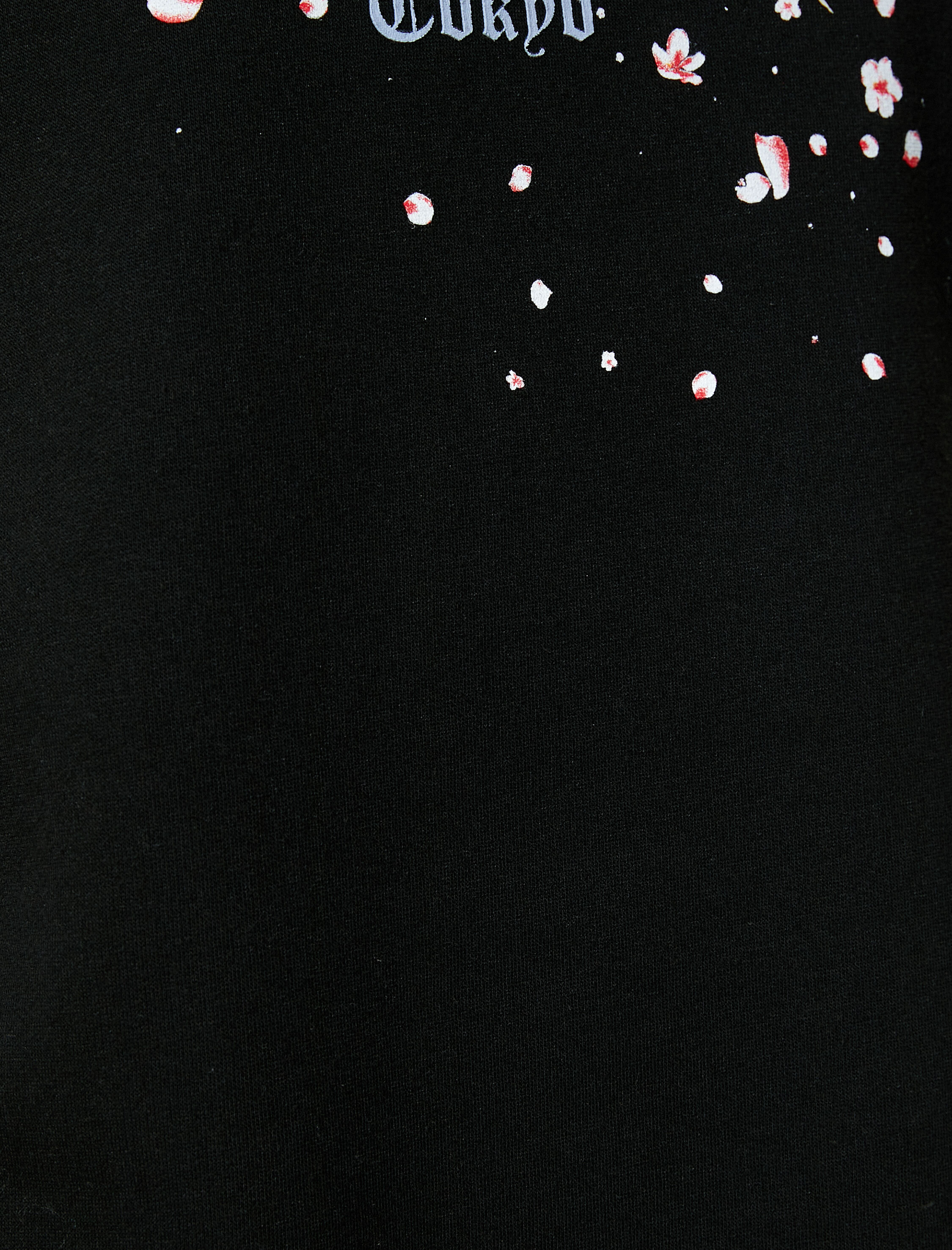   Arkası Baskılı Sweat Uzakdoğu Temalı Rahat Kesim Bisiklet Yaka Şardonlu