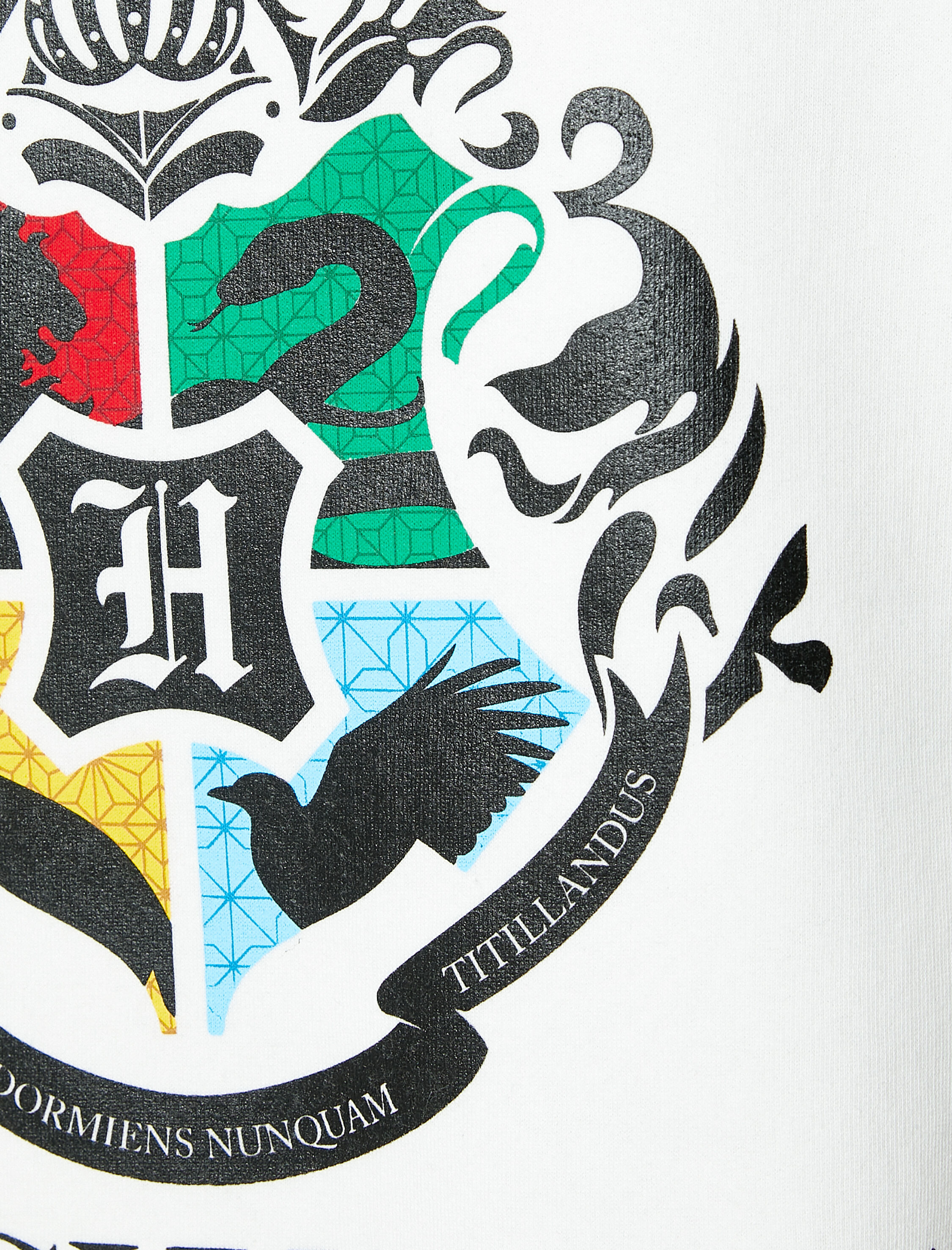 Harry Potter Sweatshirt Bisiklet Yaka Lisanslı Baskılı Şardonlu