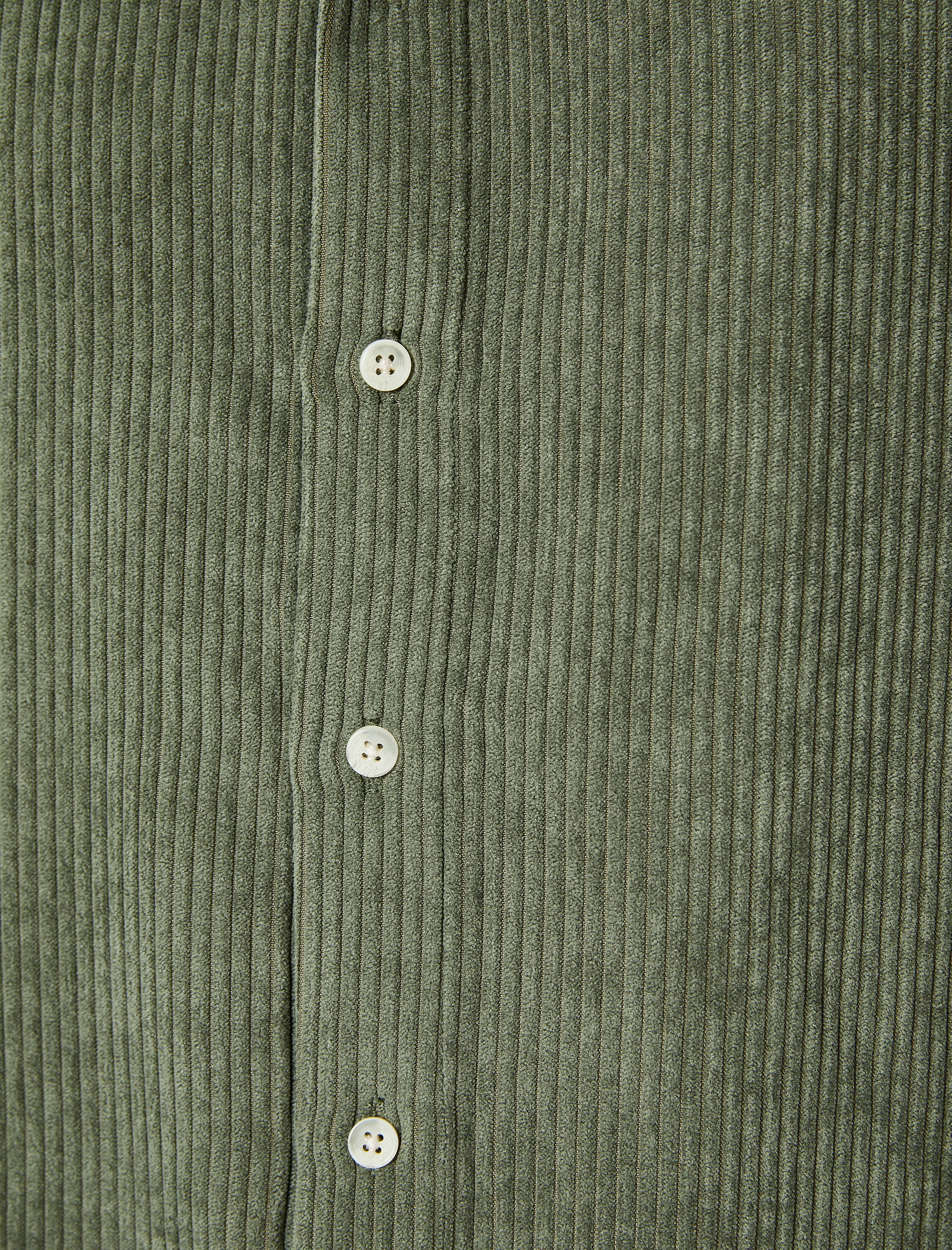   Kadife Gömlek Uzun Kollu Klasik Yaka Düğmeli