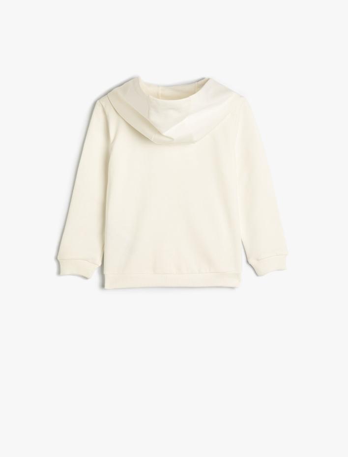 Erkek Bebek Dinozorlu Kapşonlu Sweat Kanguru Cep Detaylı Pamuklu