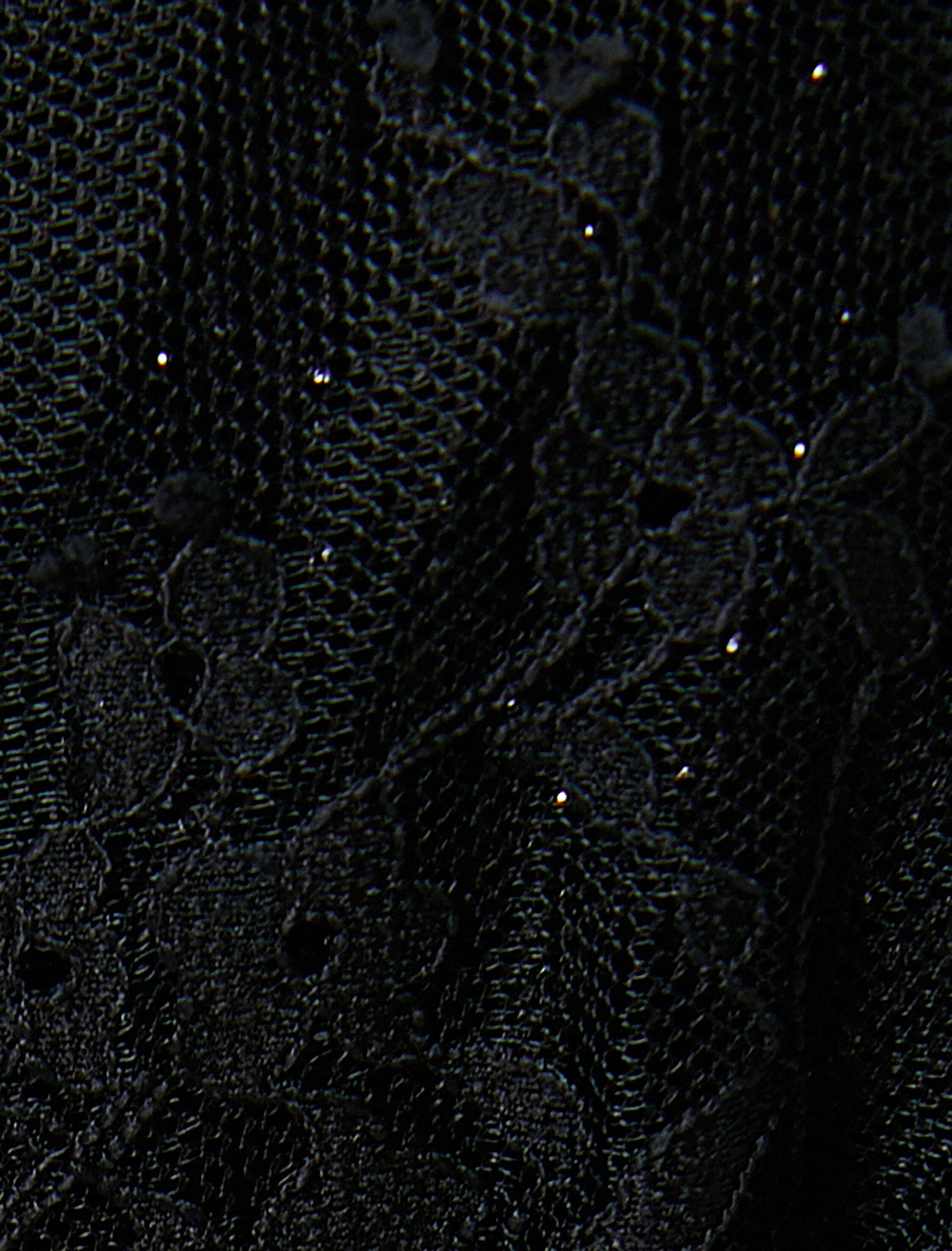   Dantelli Bluz Transparan Crop V Yaka