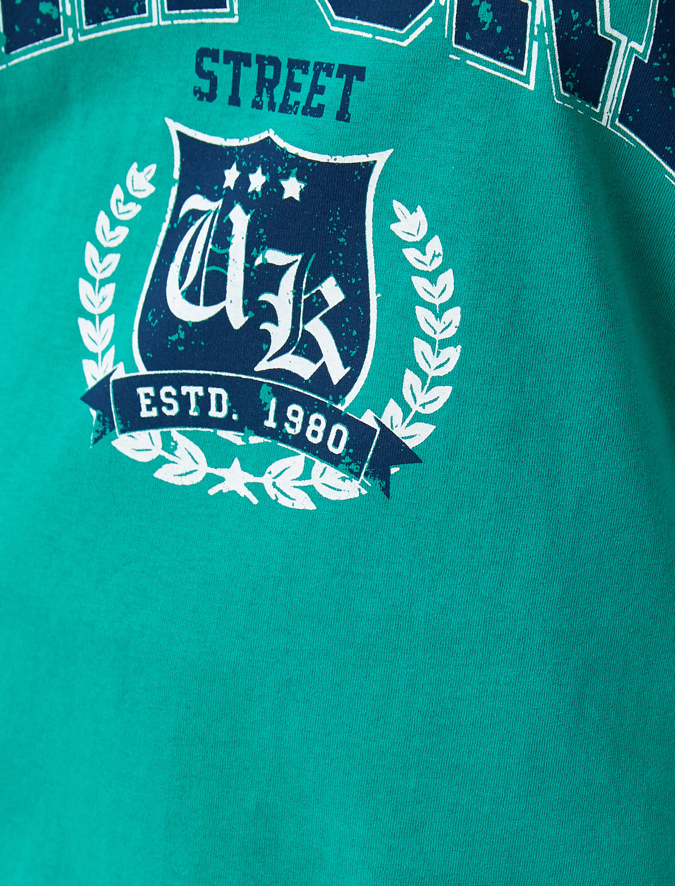   Baskılı Kısa Kollu Tişört