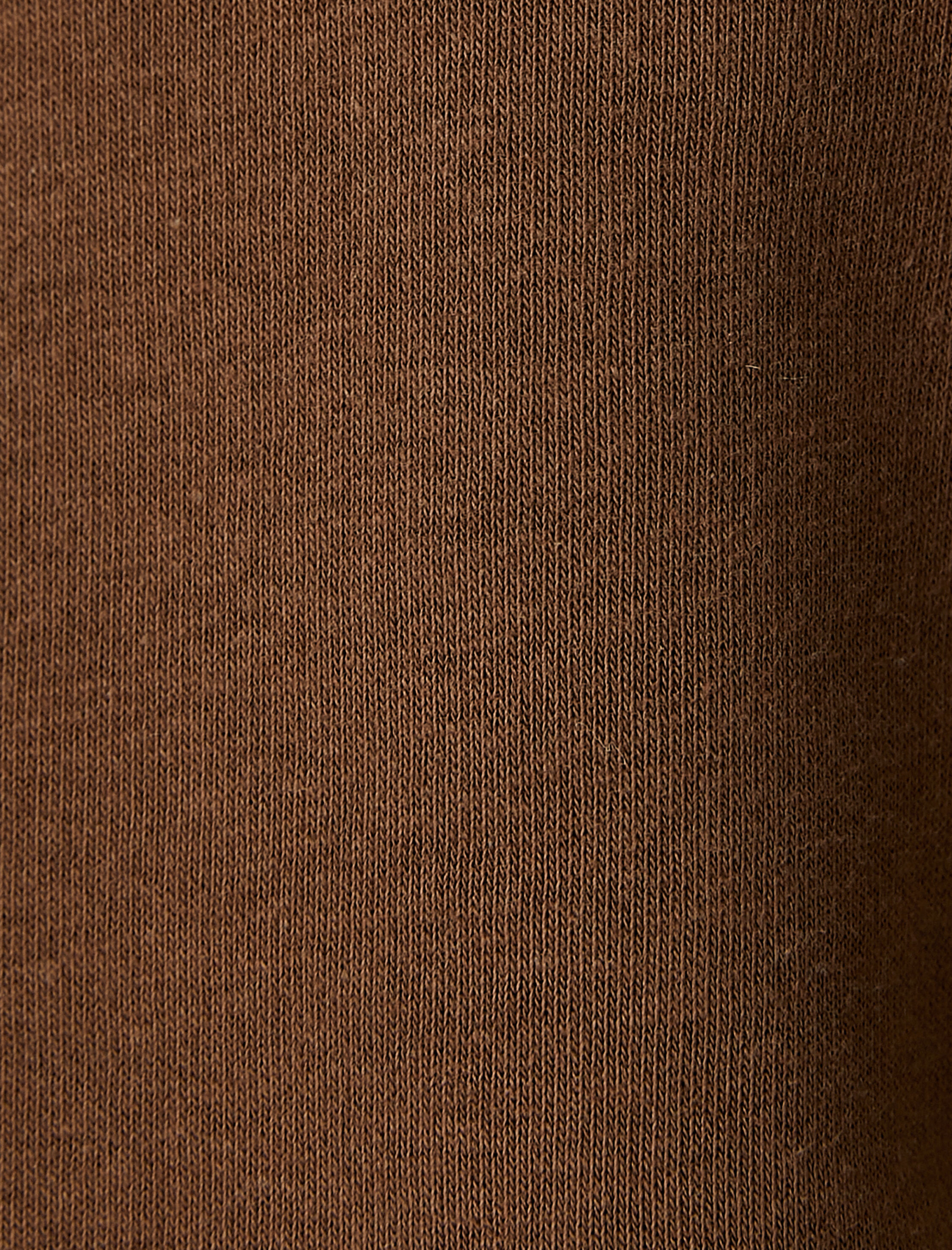   Tazmanya Canavarı Sweatshirt Yarım Fermuarlı Lisanslı Baskılı Şardonlu