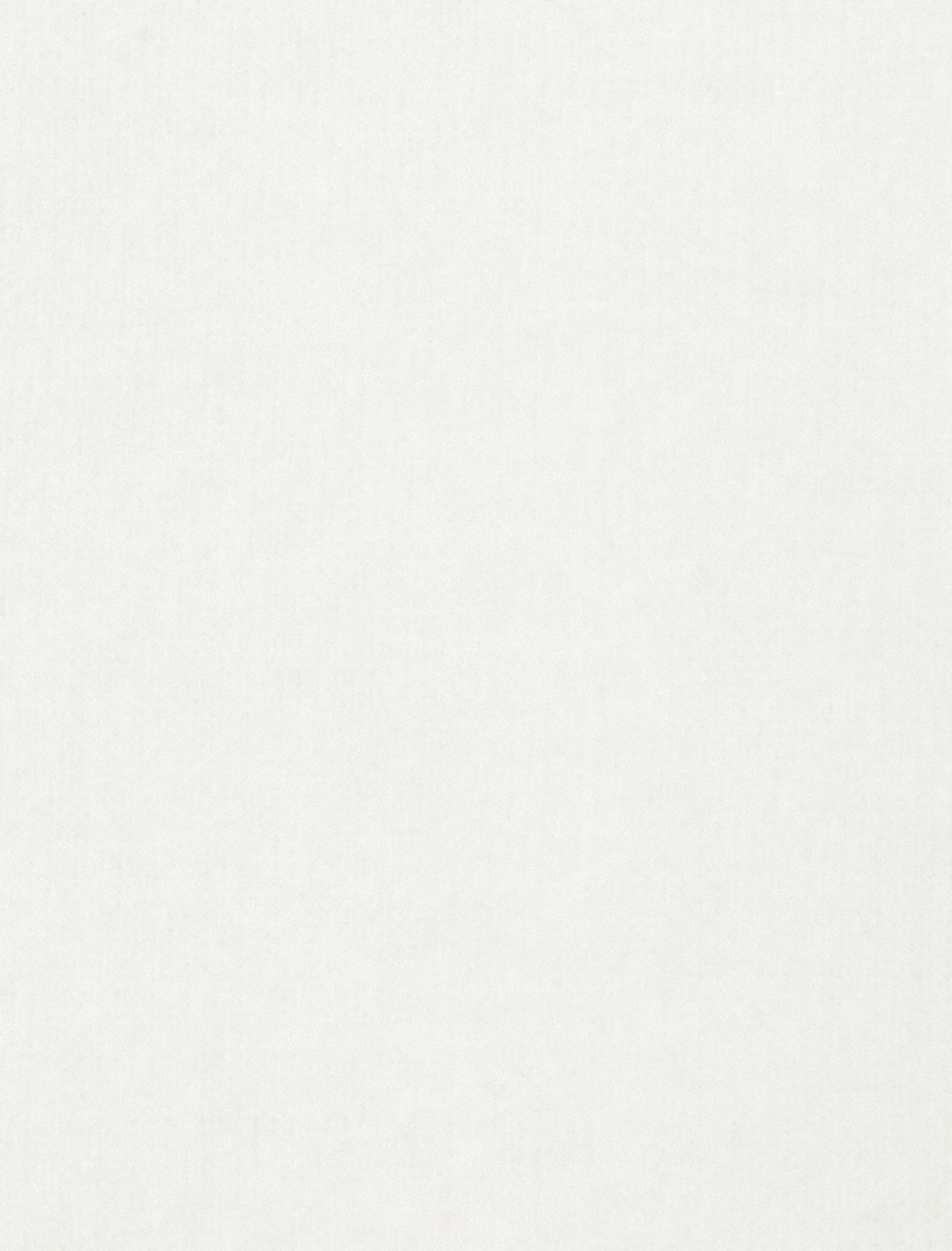   Yarım Fermuarlı Sweatshirt Dik Yaka Uzun Kollu Şardonlu