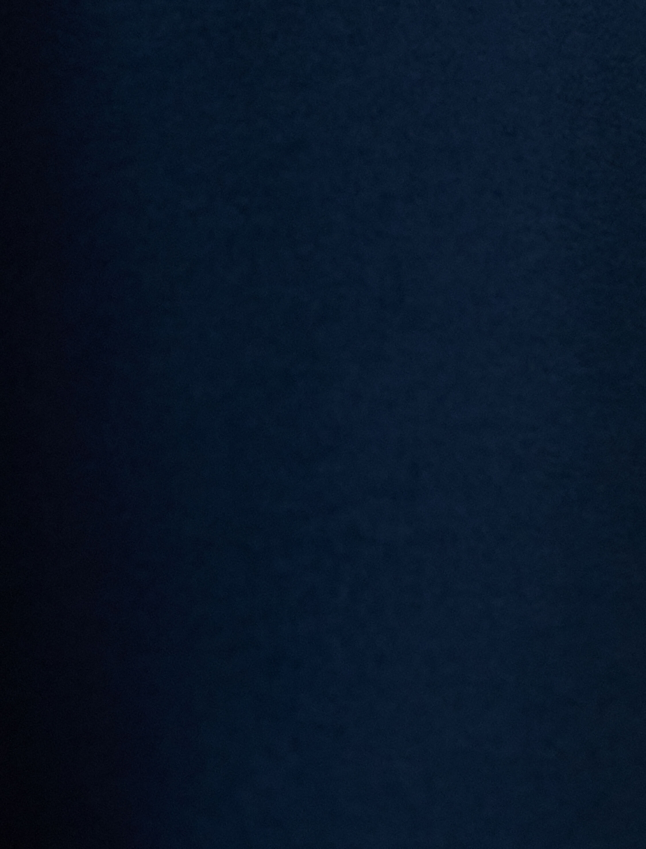   Palazzo Pantolon Yüksek Bel Düz Paça Düğmeli