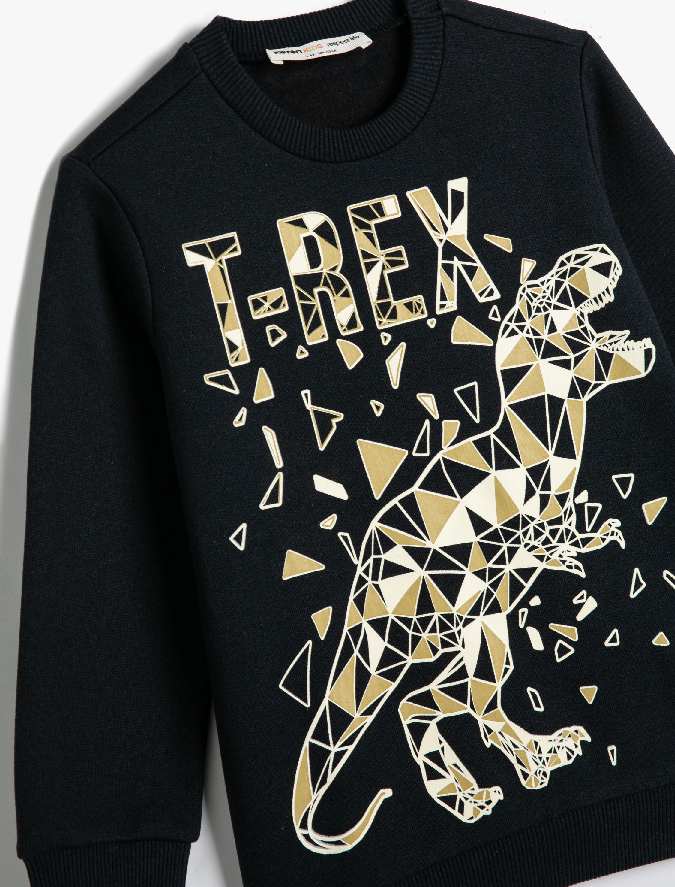  Erkek Çocuk Dinozor Baskılı Sweatshirt Bisiklet Yaka Uzun Kollu