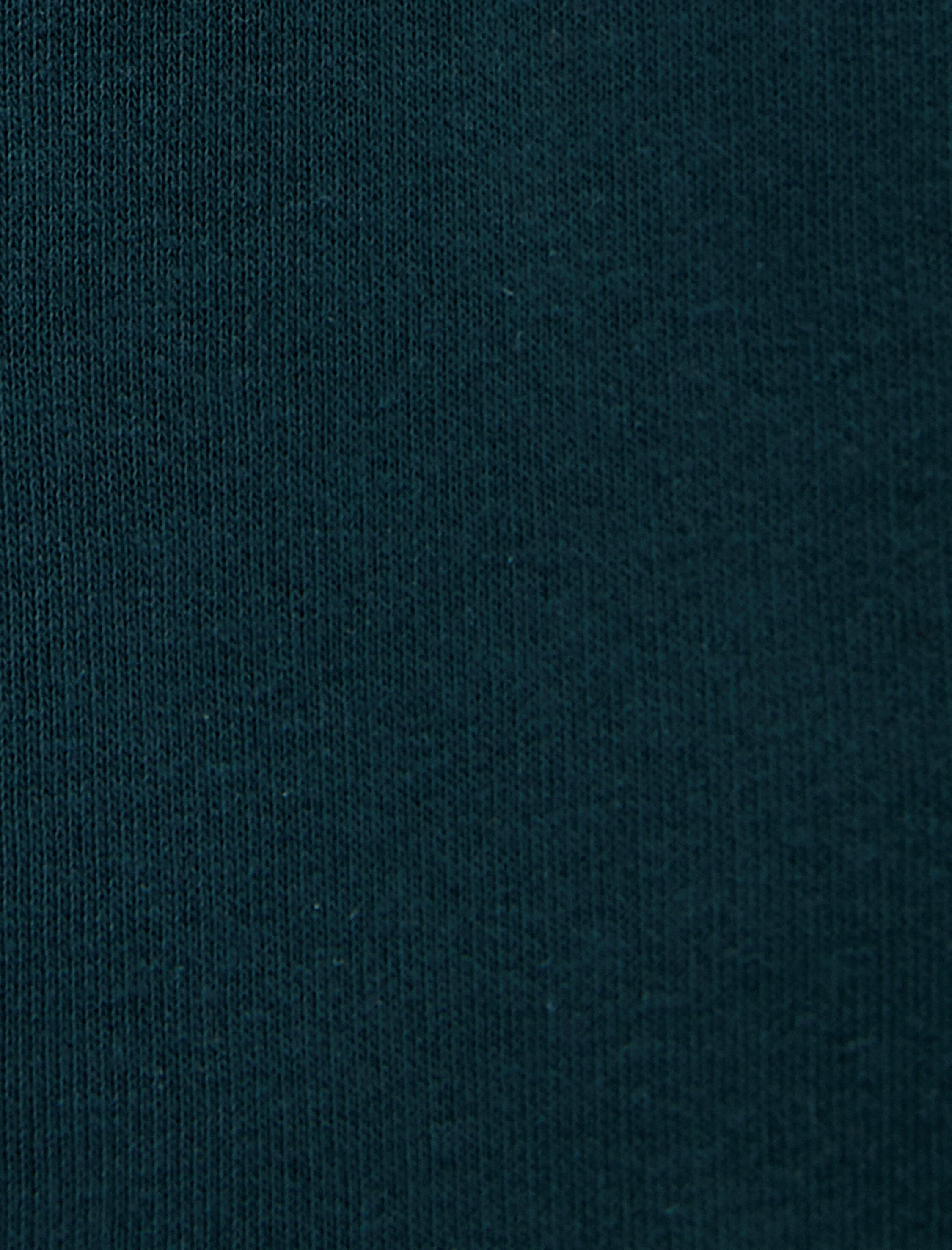   Rick and Morty Kapşonlu Sweat Lisanslı Baskılı Şardonlu