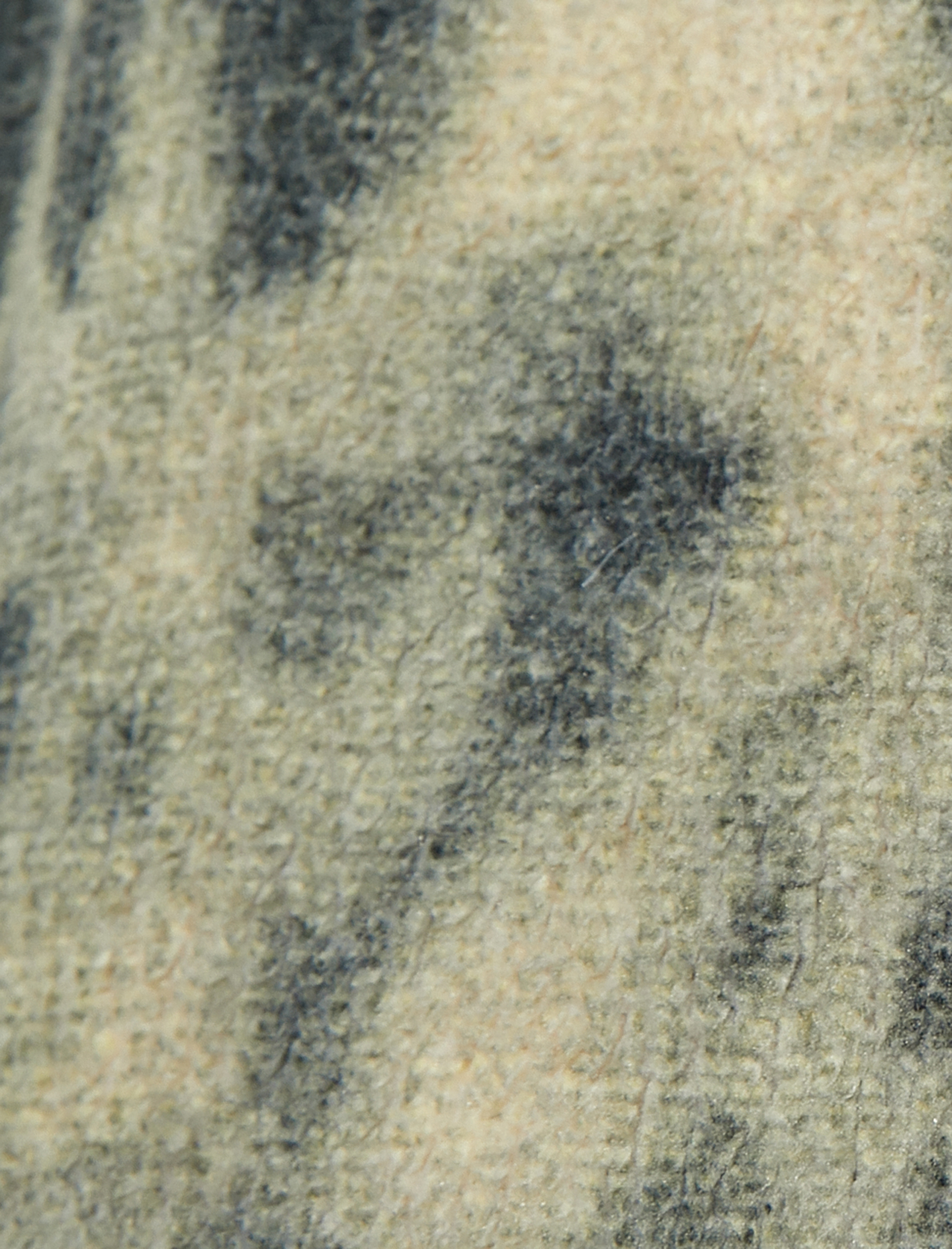   Oversize Peluş Ceket Kapüşonlu Fermuarlı Cep Detaylı