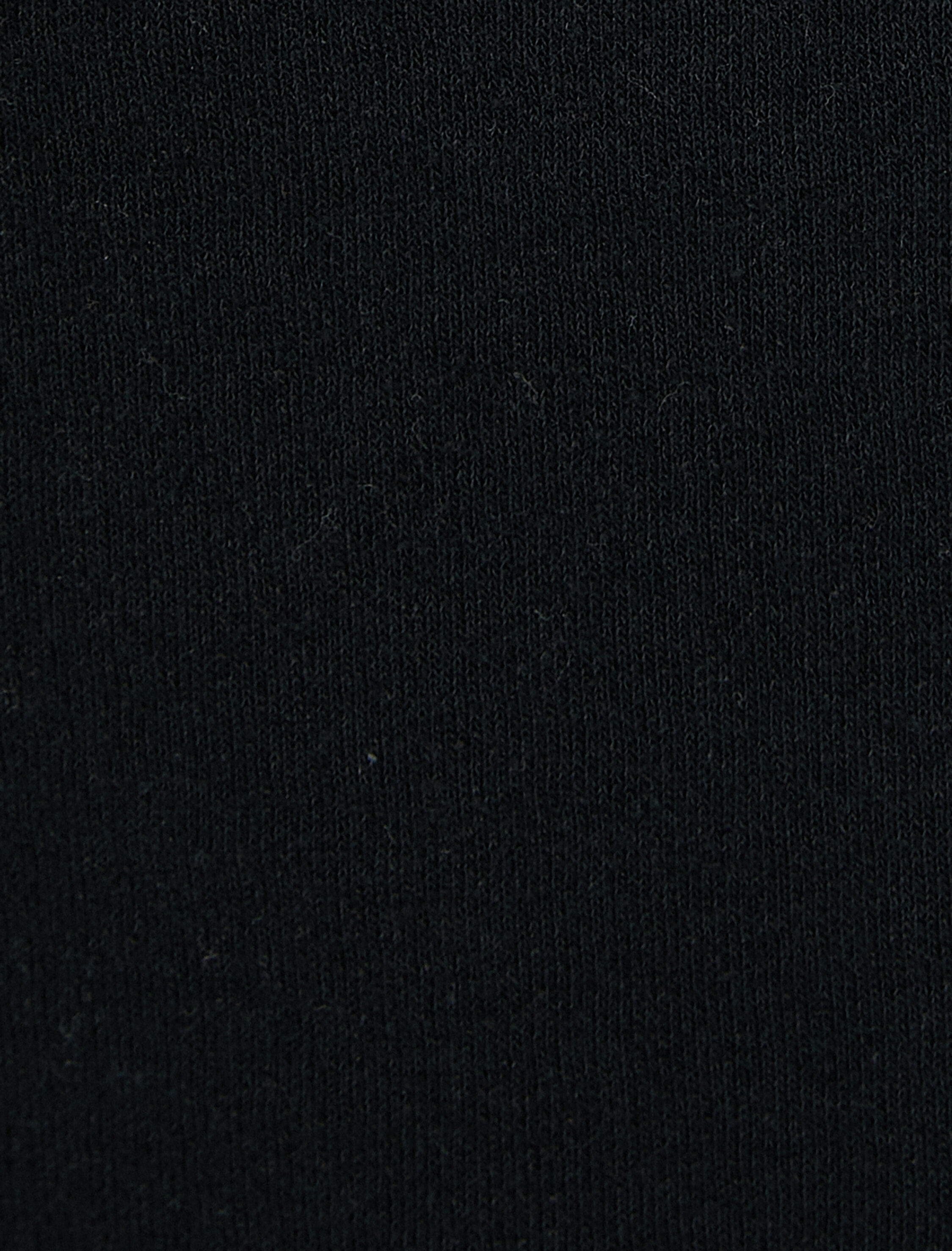   Bisiklet Yaka Sweatshirt Slogan Baskılı Uzun Kollu