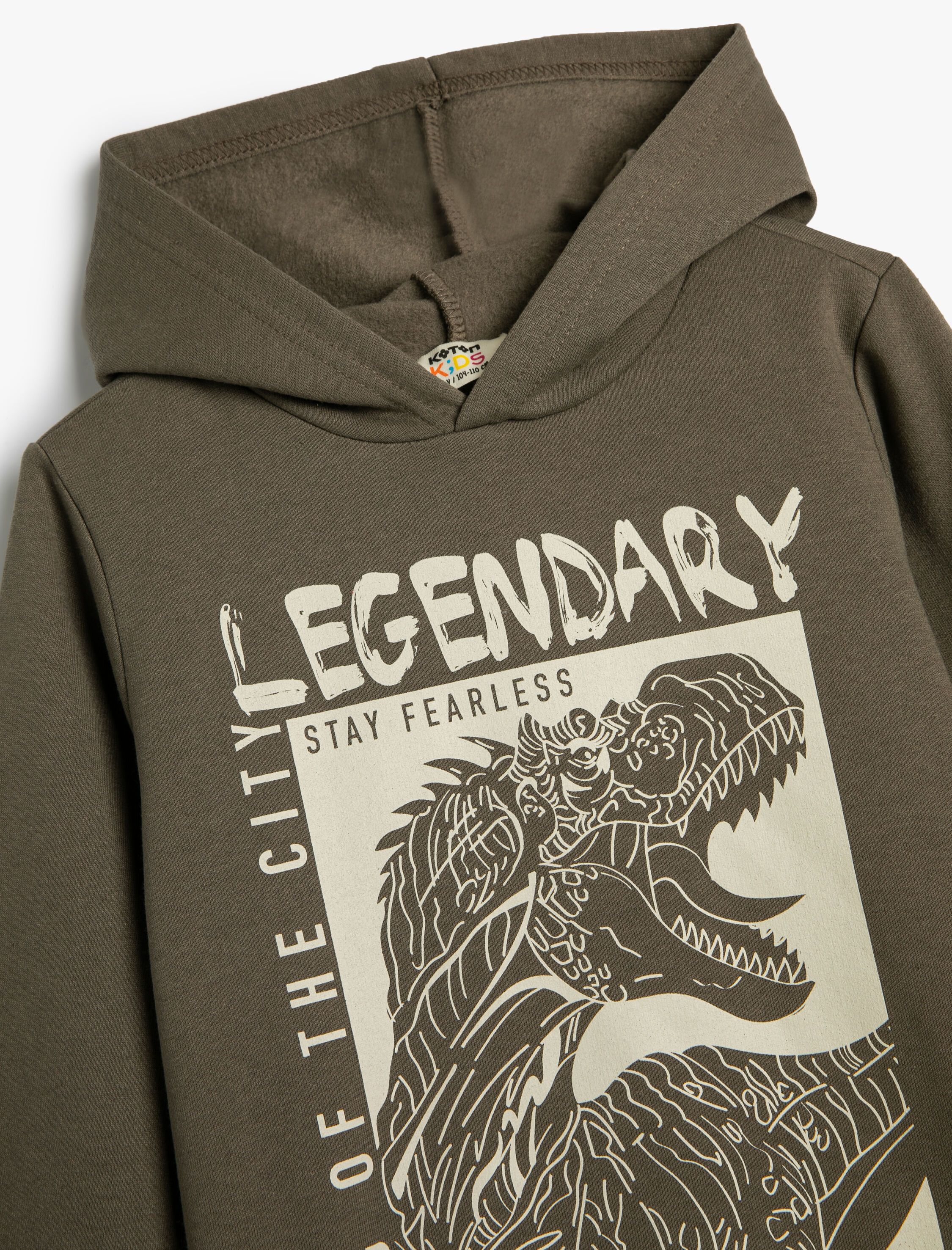  Erkek Çocuk Kapşonlu Sweatshirt Dinozor Baskılı Uzun Kollu Şardonlu