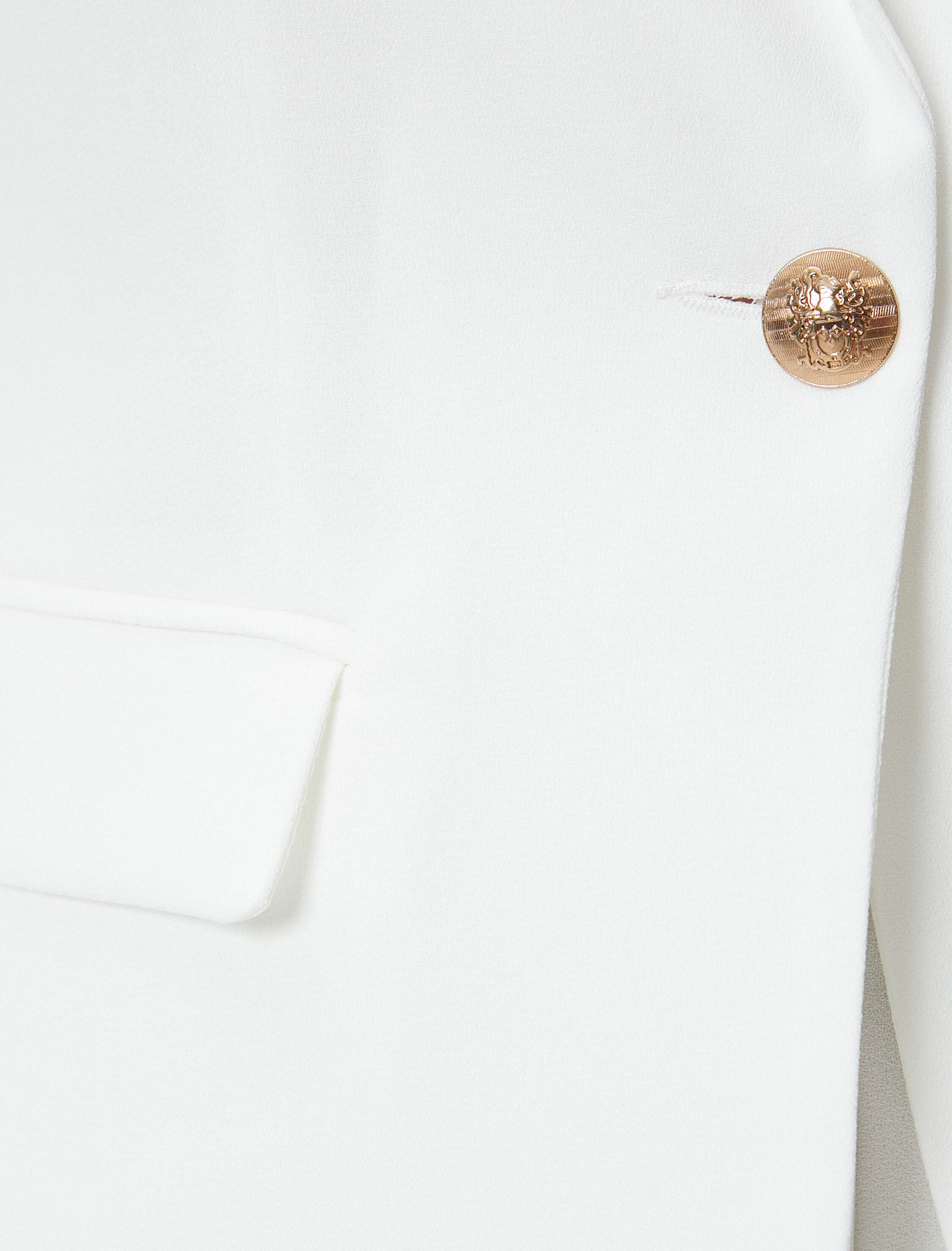   Blazer Ceket Tek Düğmeli Kapaklı Cepli