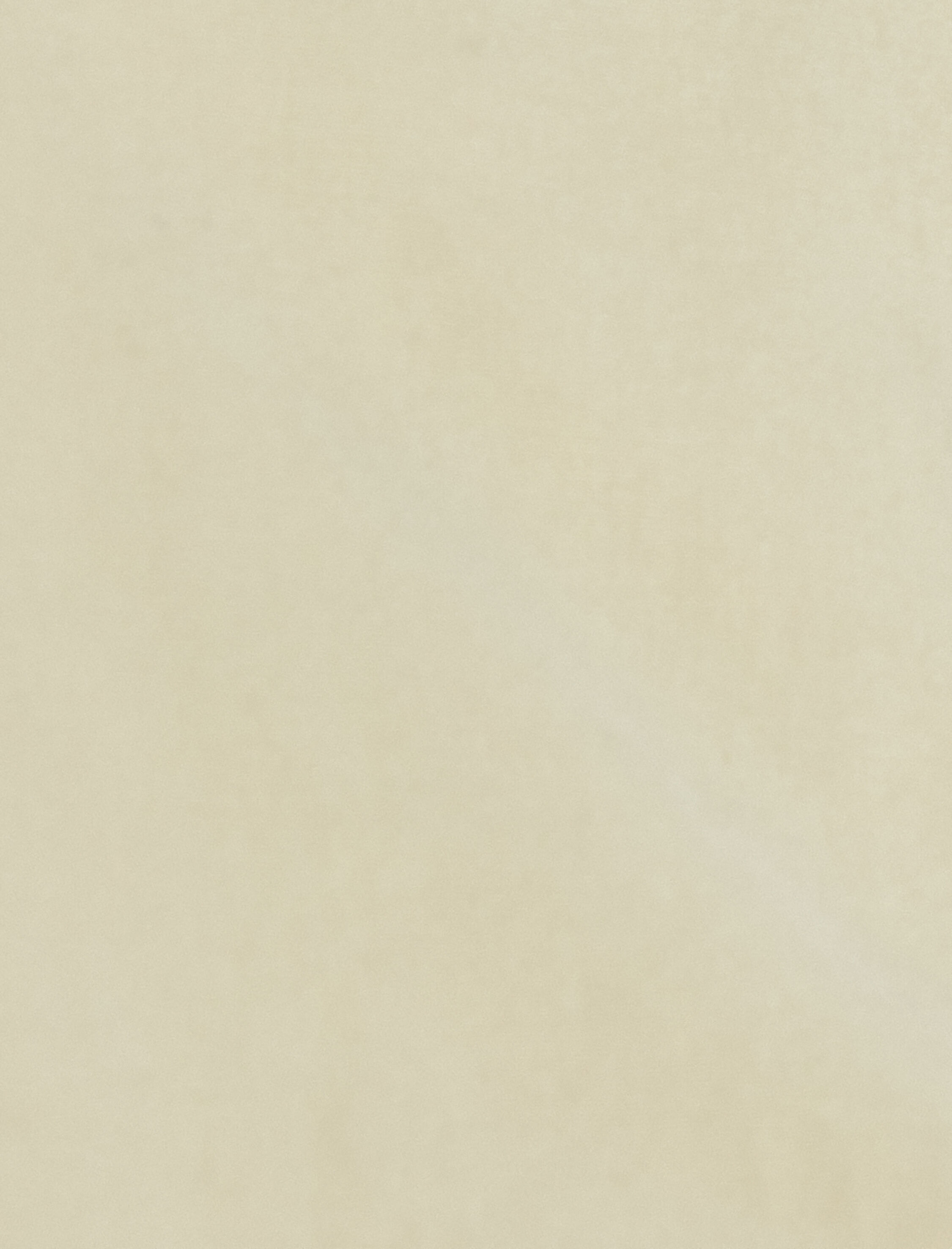 Kargo Jogger Pantolon Zincir Detaylı Yüksek Bel Pamuklu