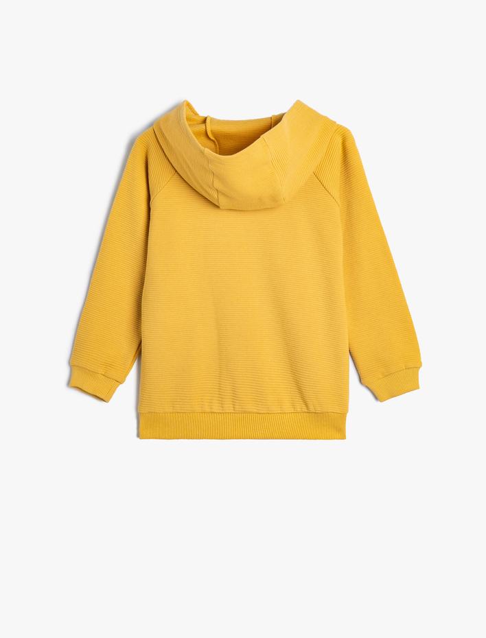 Erkek Bebek Basic Kapşonlu Sweatshirt Fermuarlı Uzun Kollu Pamuklu