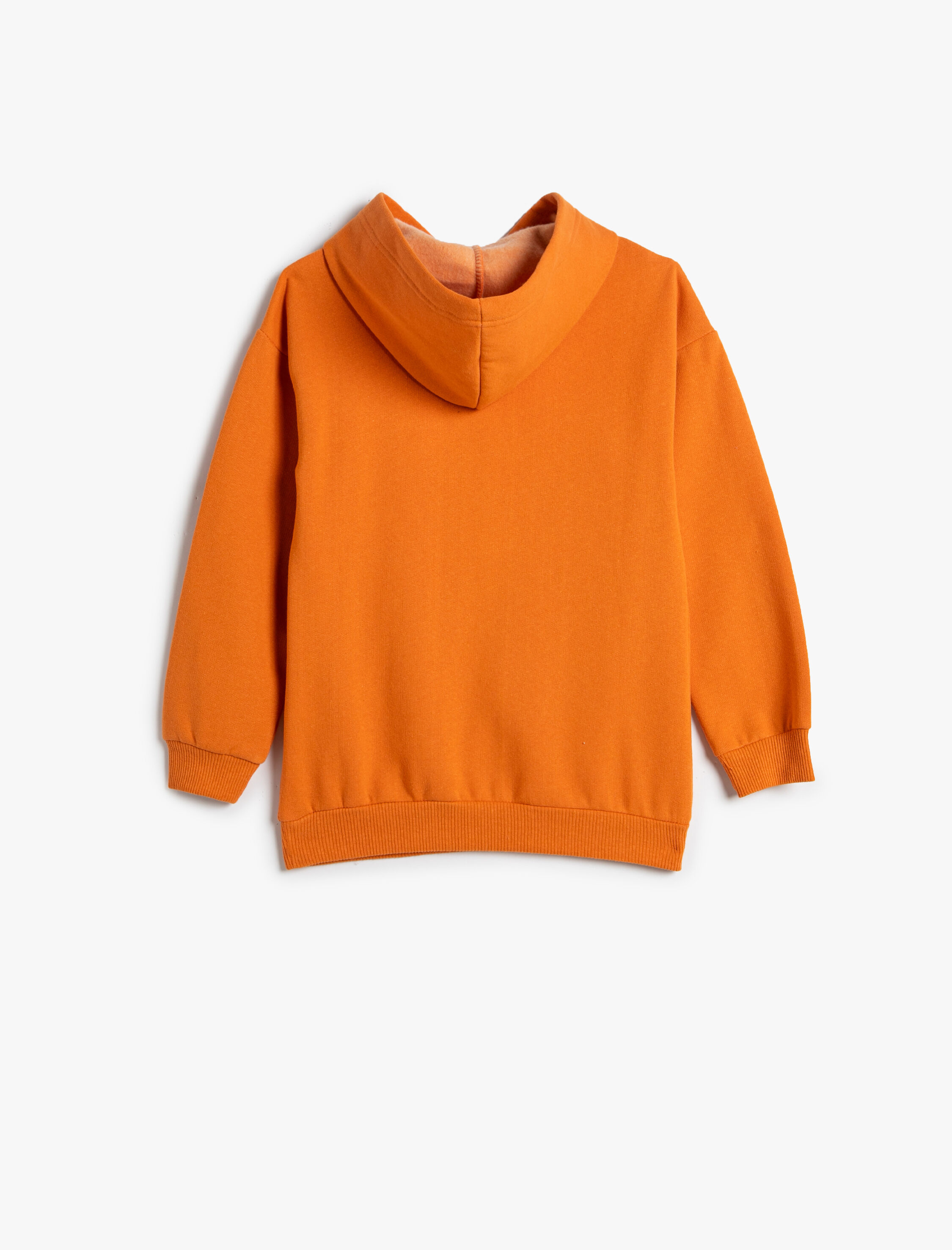  Erkek Çocuk Dinozor Baskılı Kapşonlu Sweatshirt Şardonlu Uzun Kollu Pamuklu